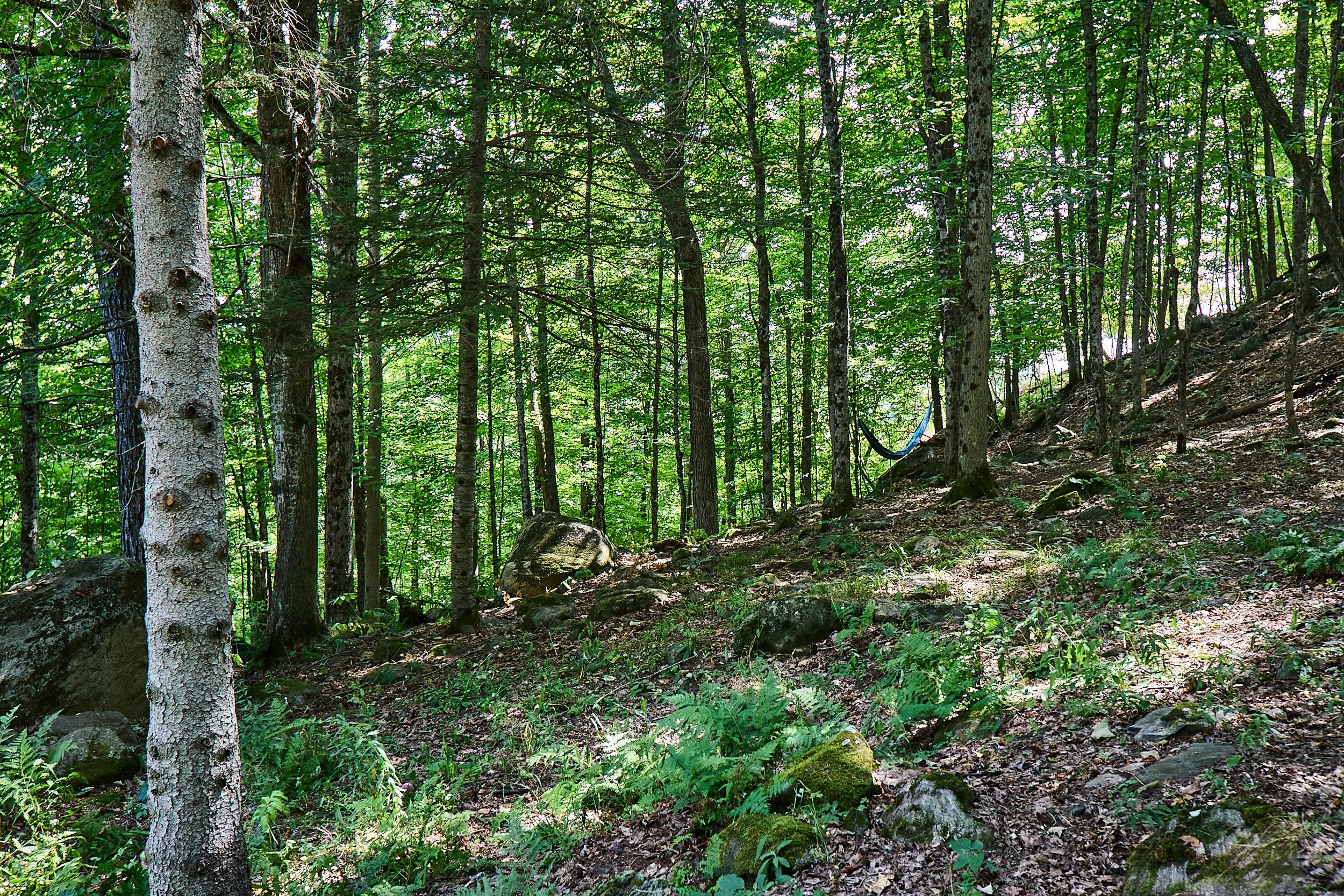 869 N Mary Lk Rd-066-08-25.jpg