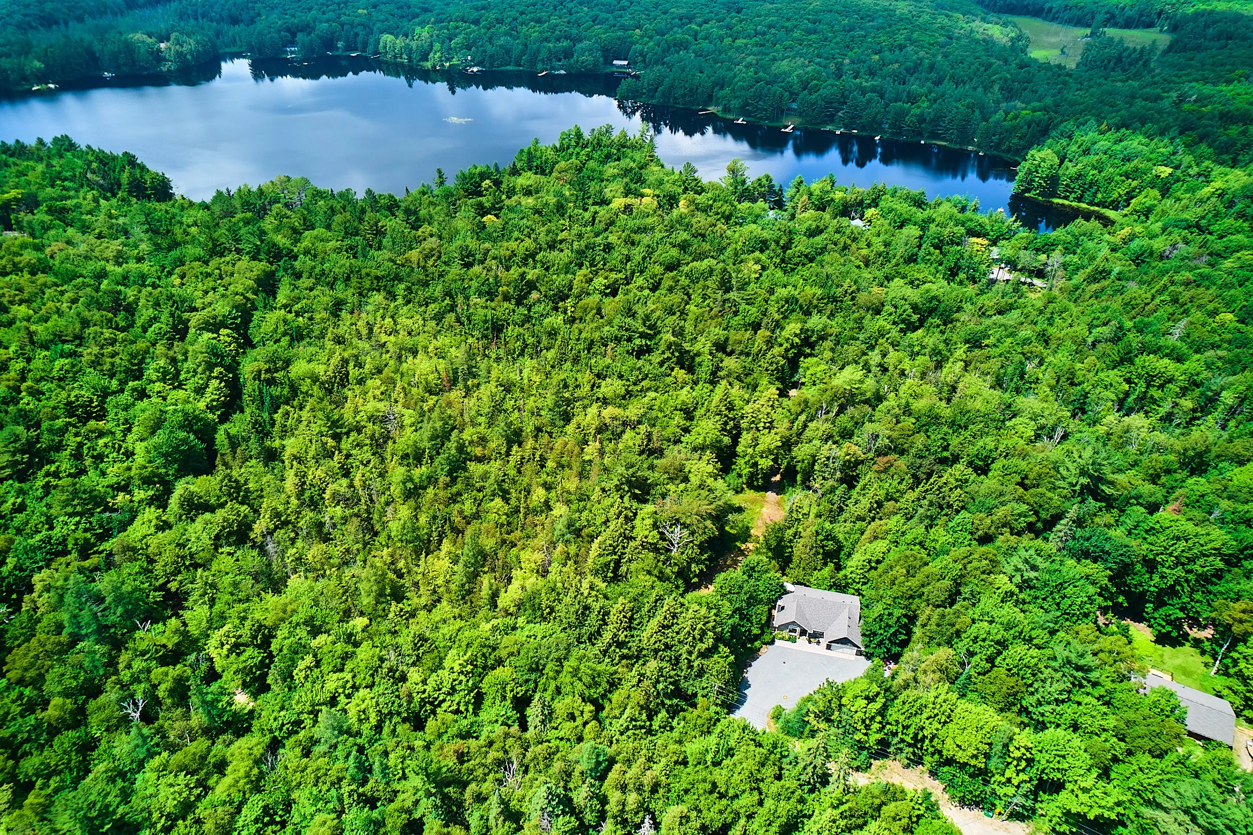 440Chubb Lk-010-07-24.jpg