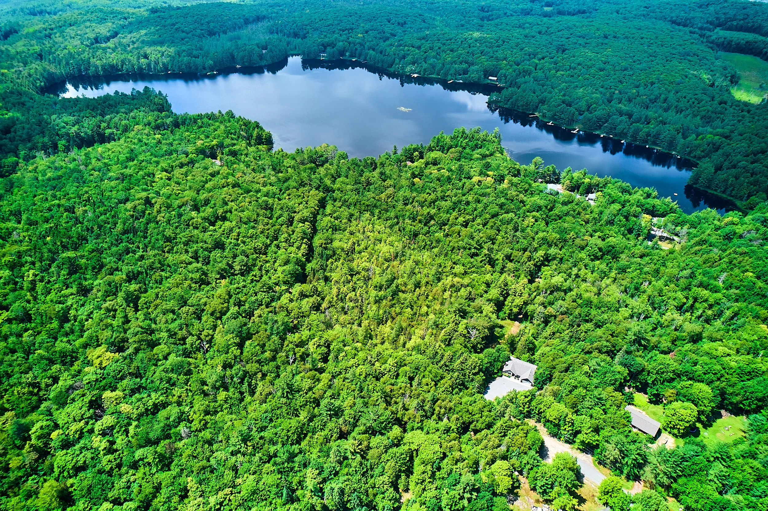 440Chubb Lk-012-07-24.jpg
