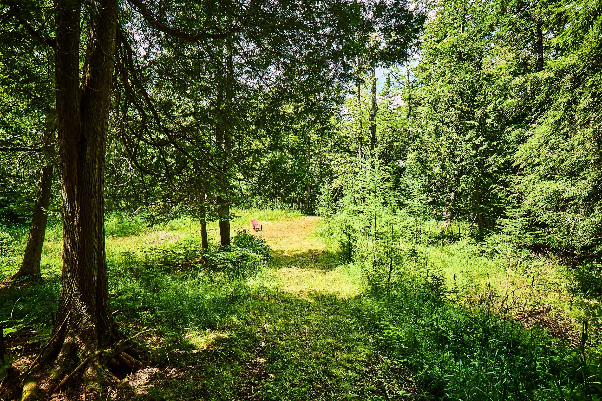 440Chubb Lk-062-07-24.jpg