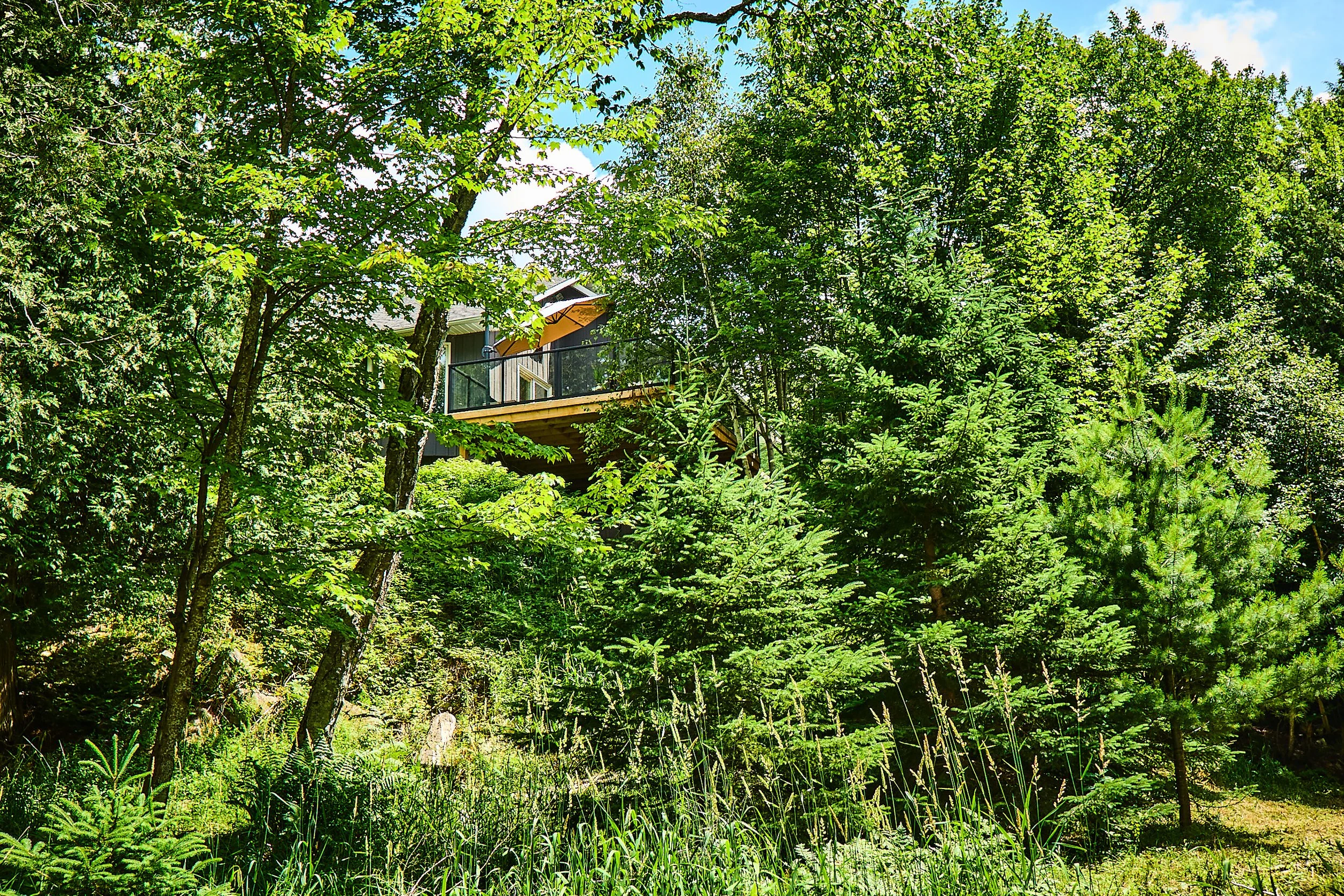 440Chubb Lk-066-07-24.jpg