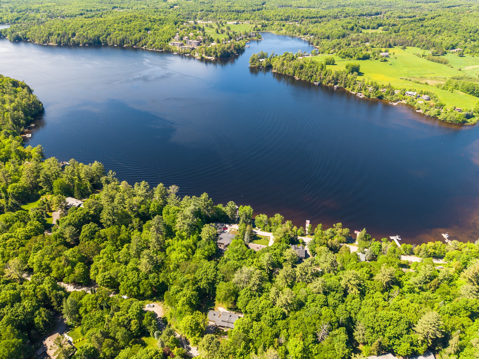 312 Swallowdale Drone--35.jpg