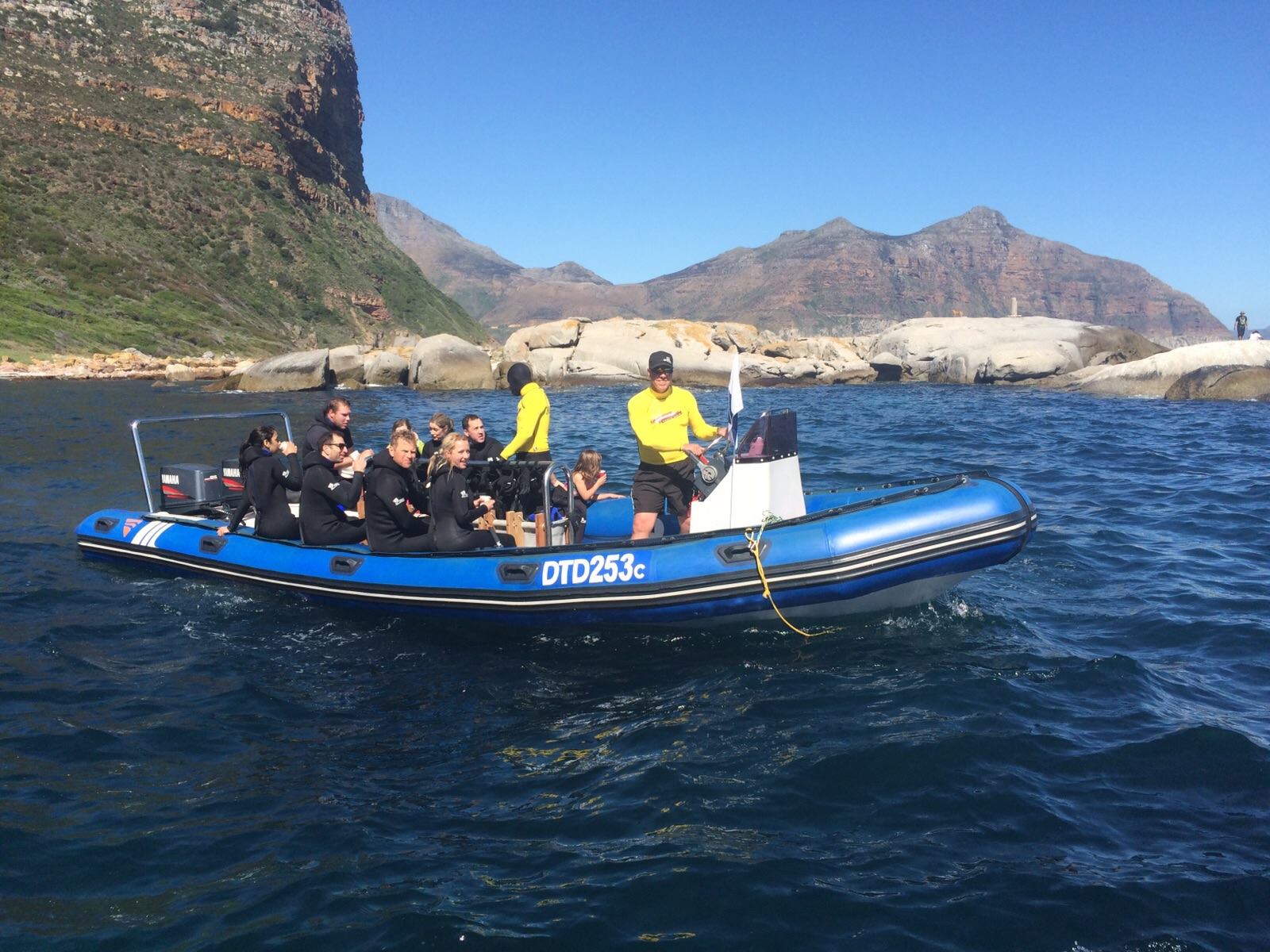 Seal snorkeling Cape TownNow 20 off