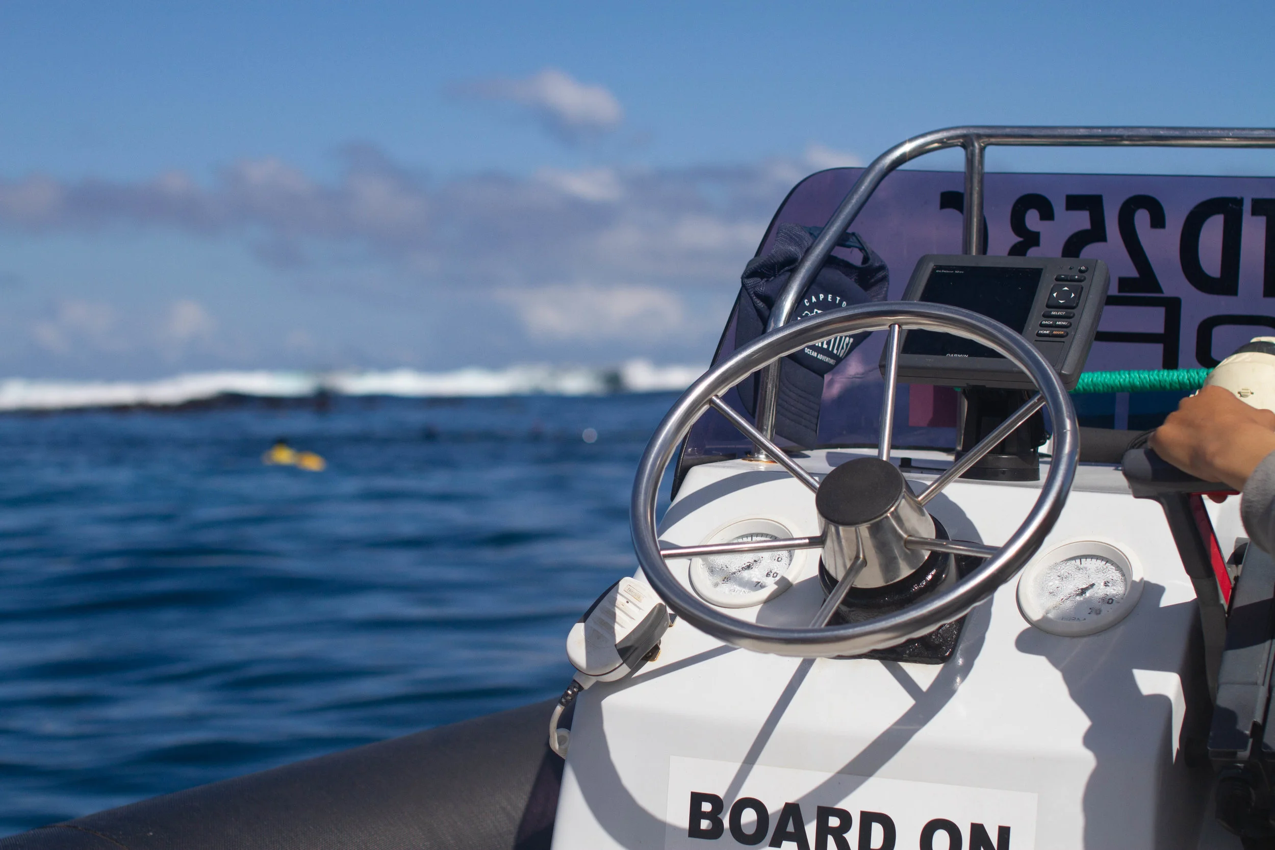 Seal snorkeling Cape TownNow 20 off