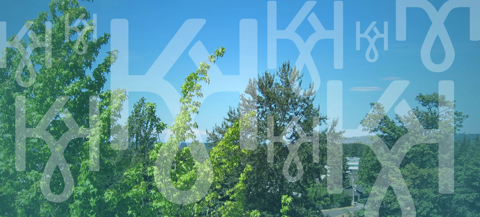 view.jpg