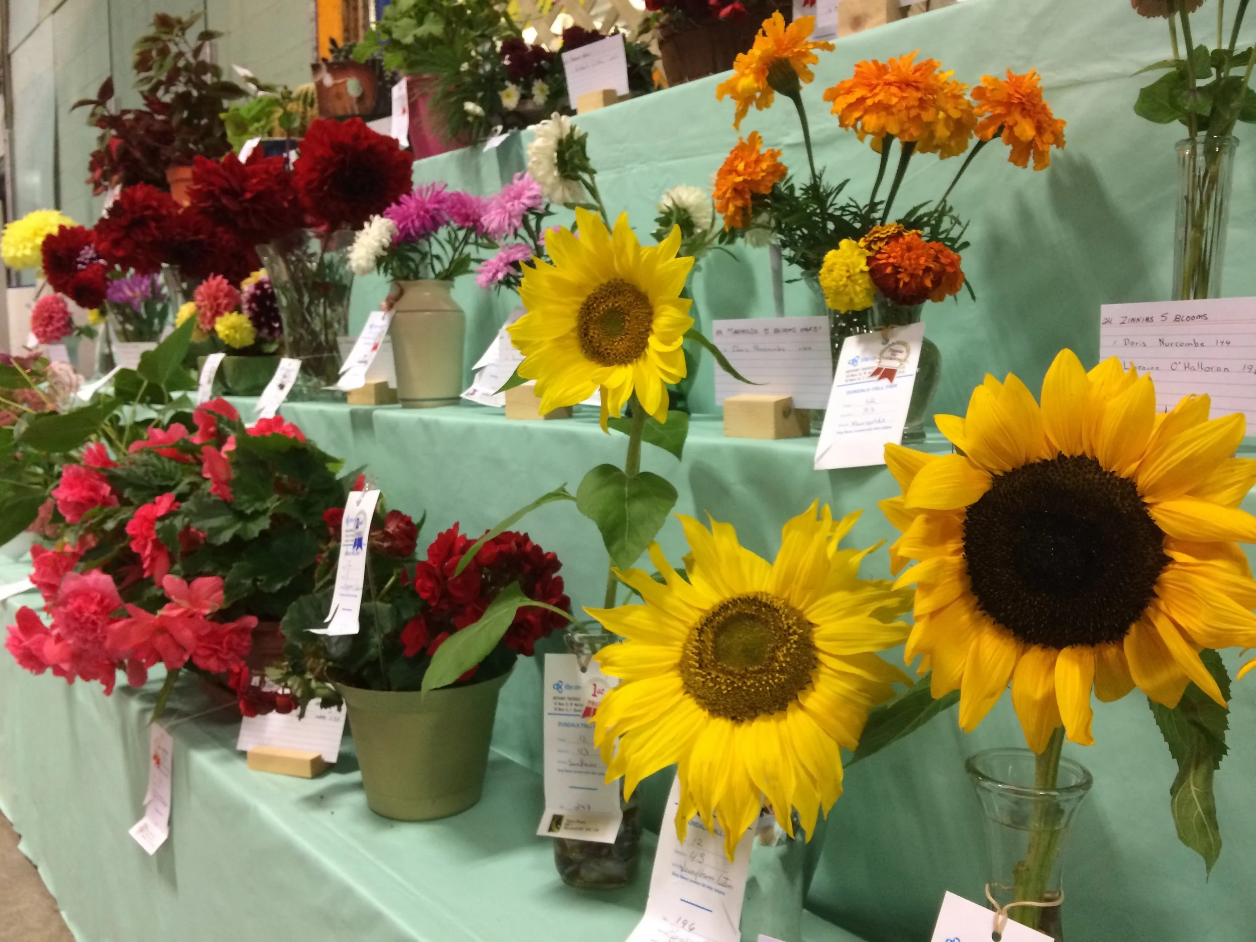 Fair Book — Dundalk Fall Fair