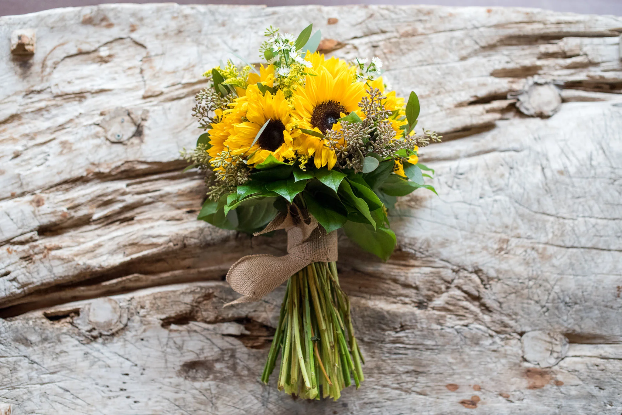 Park City Utah Wedding Photographer Trevor Hooper