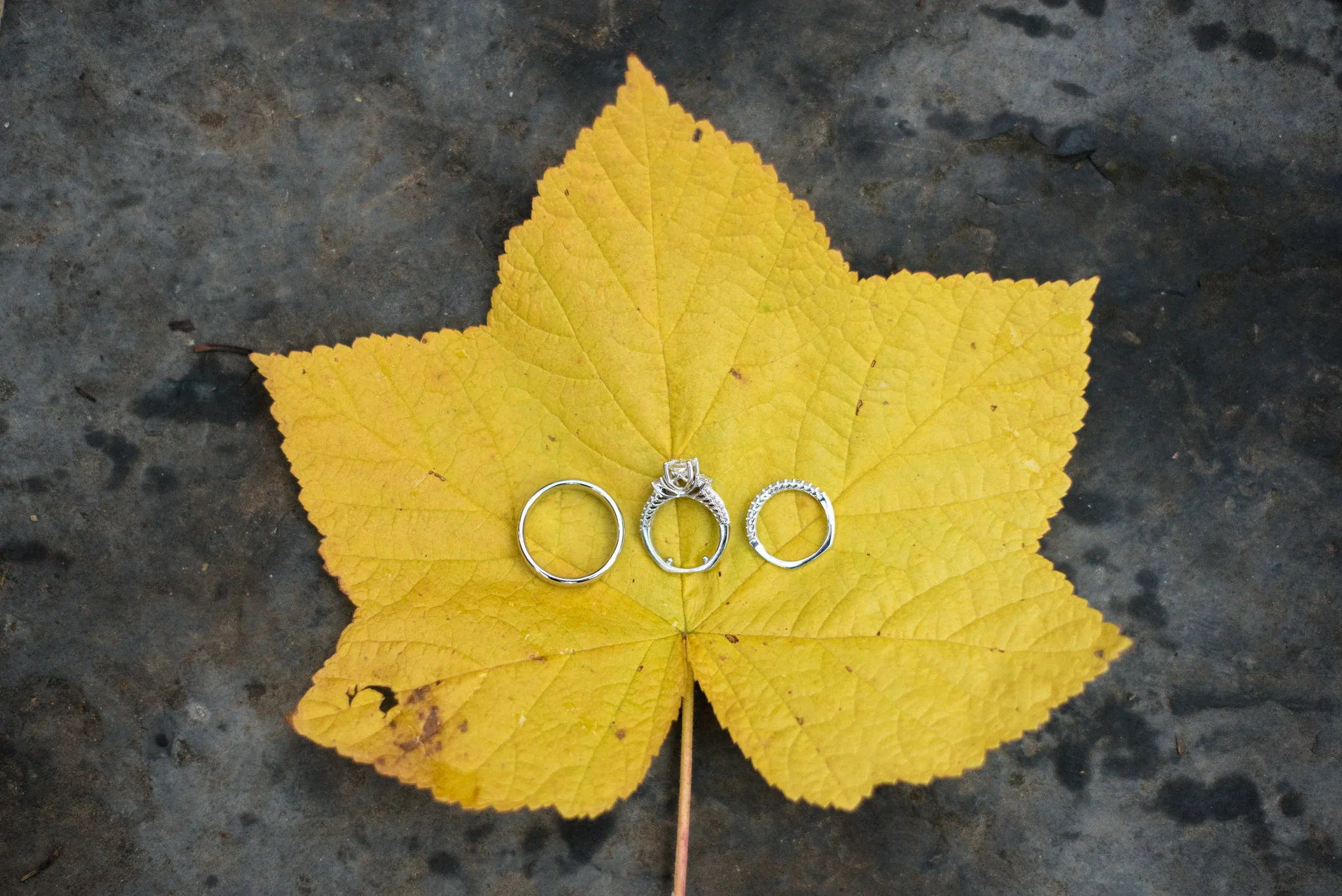 Utah Wedding Photographer Trevor Hooper