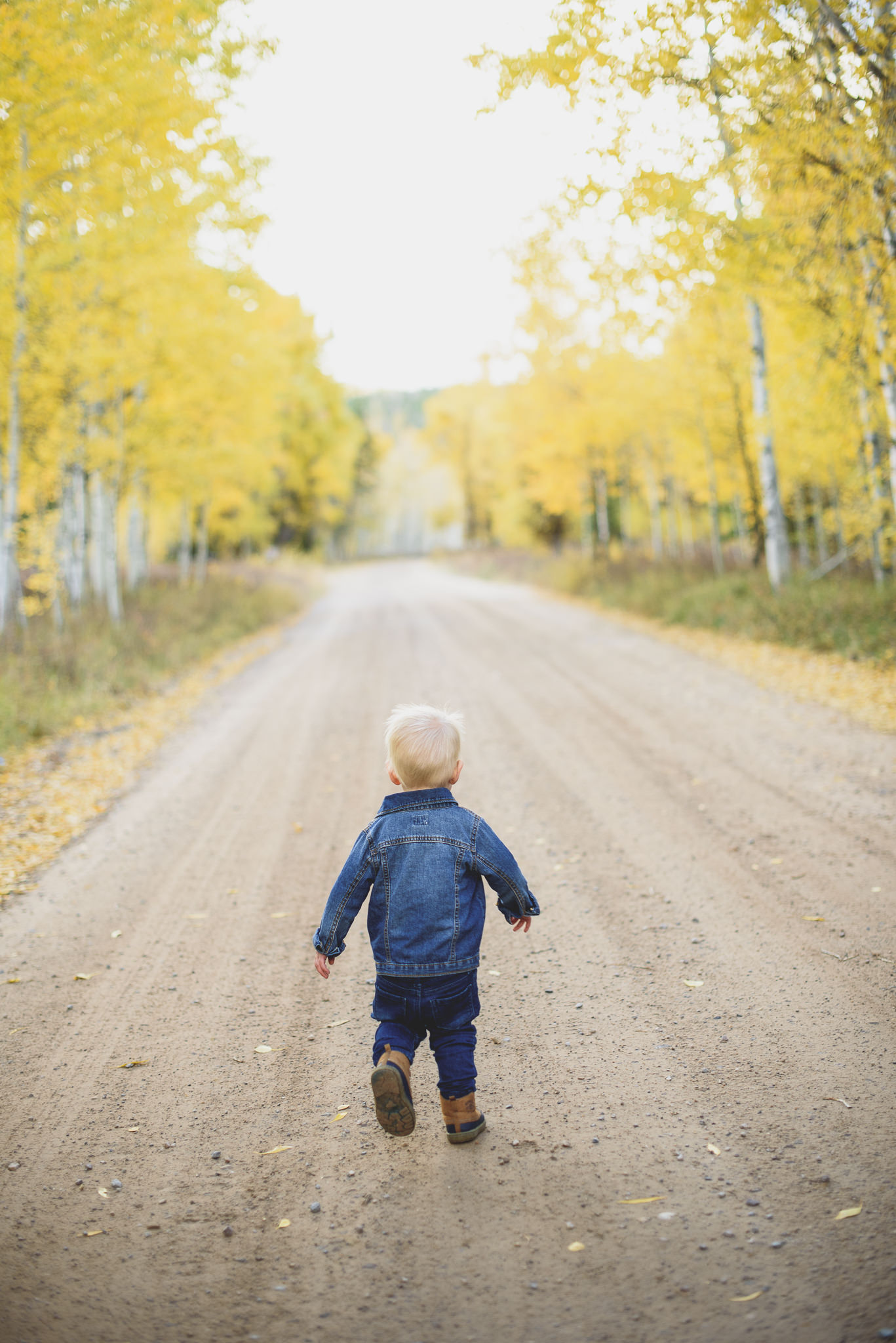 Utah Family Photographer Trevor Hooper