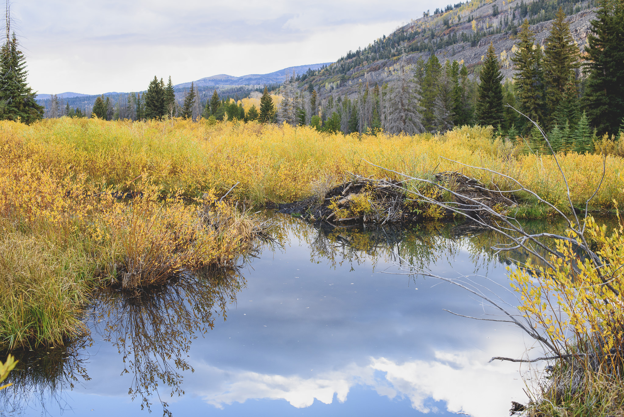 Utah Family Photographer Trevor Hooper