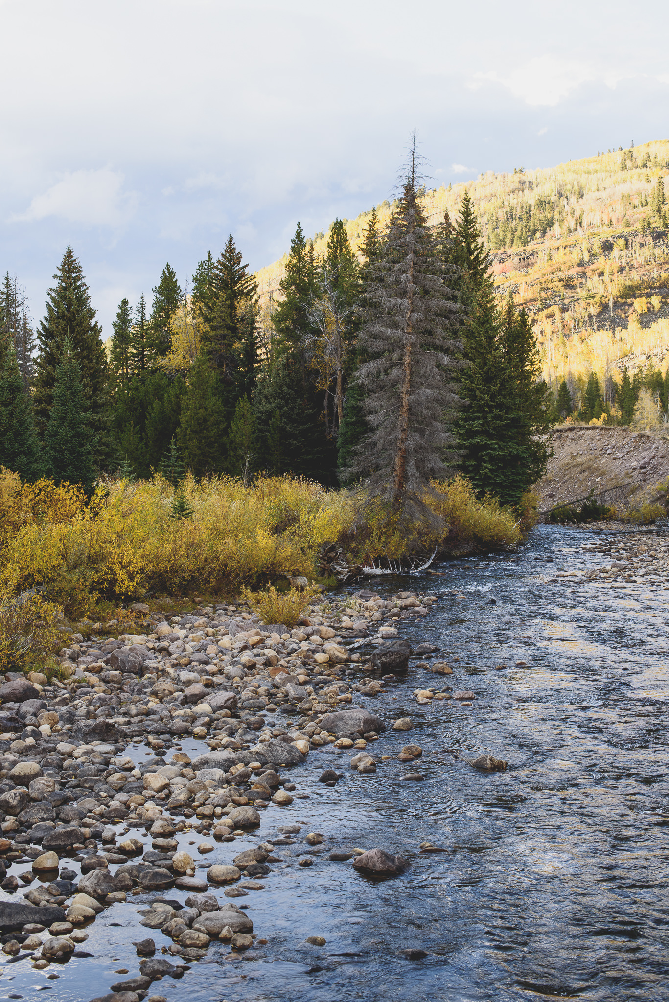 Utah Family Photographer Trevor Hooper