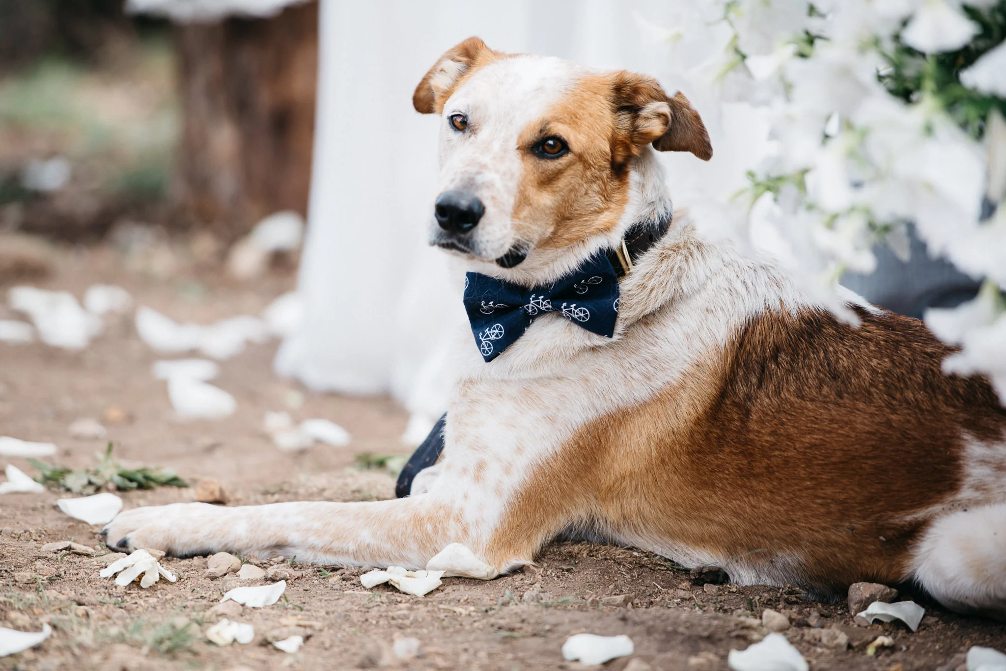 Dane-Margot-Park-City-Wedding-Preview-SML-035.jpg