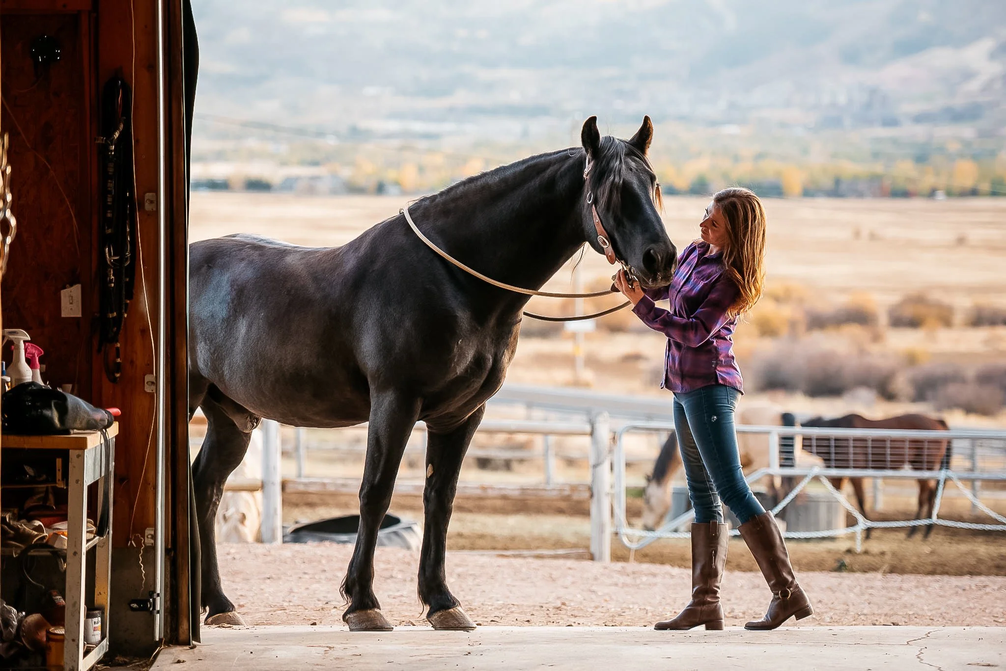 Portrait of woman with her horse in Park City, Utah during the summer. 