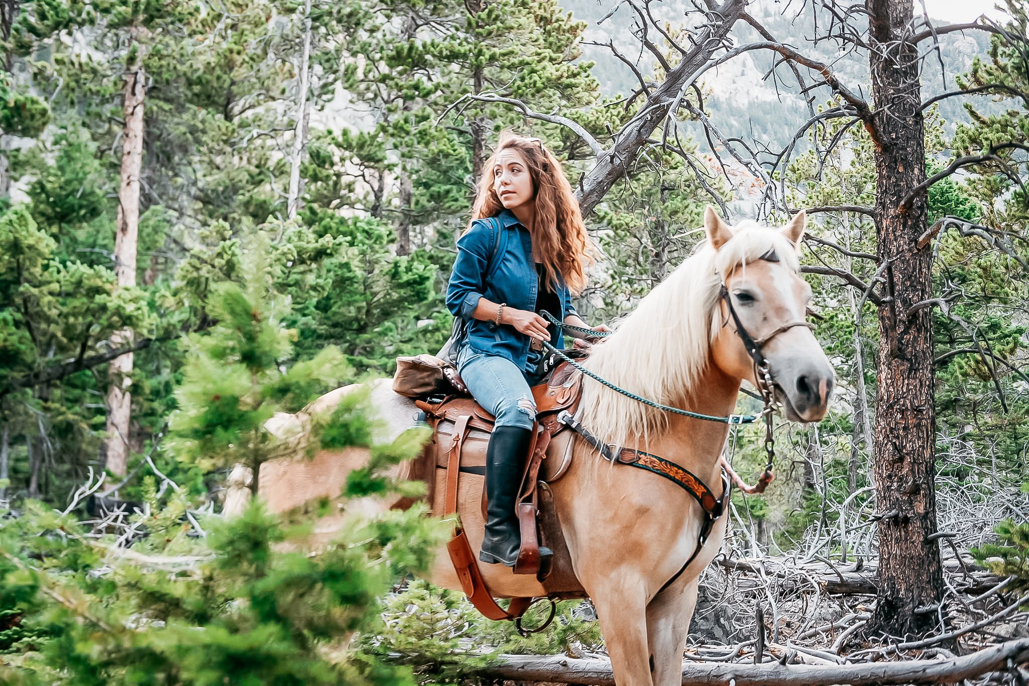 Portrait of woman trail riding her horse in the mountains during the summer. 