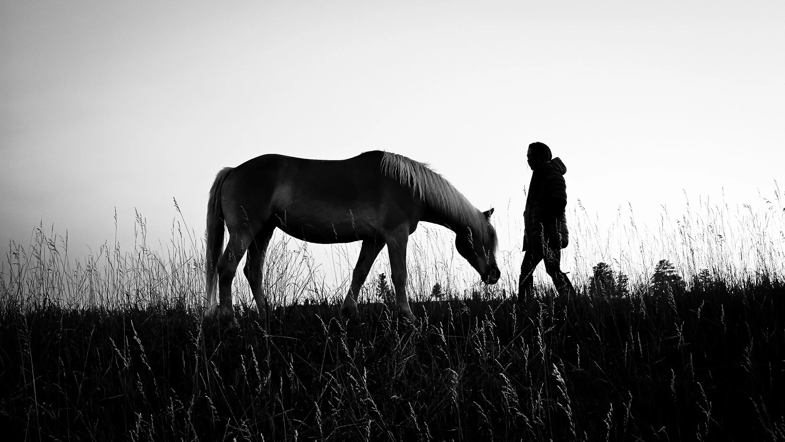 Portrait of woman with her horse in Montana during the summer. 