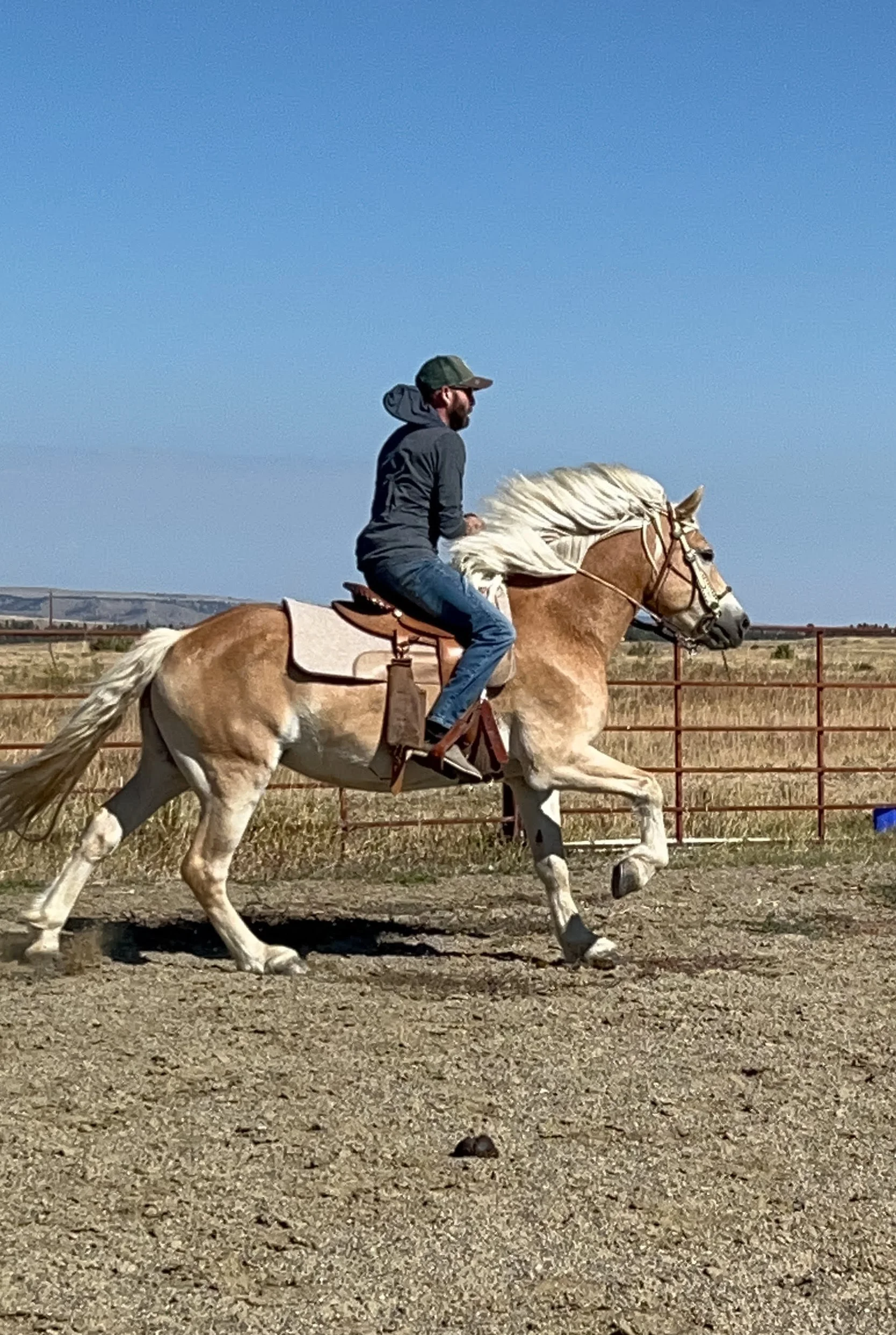 Trevor Hooper, man, riding a horse in the summer in Utah.
