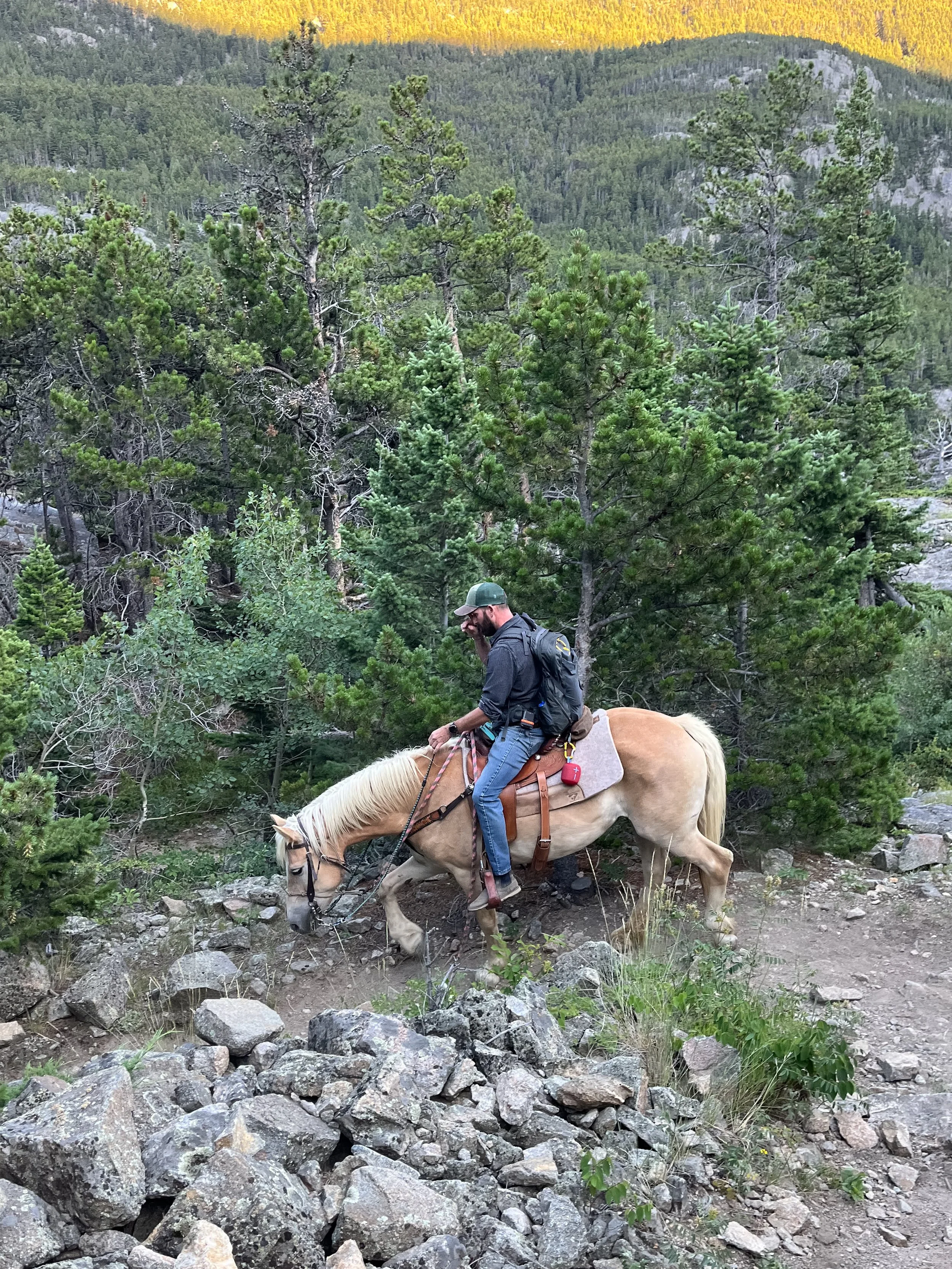Trevor Hooper, man, riding a horse in the summer in Utah.