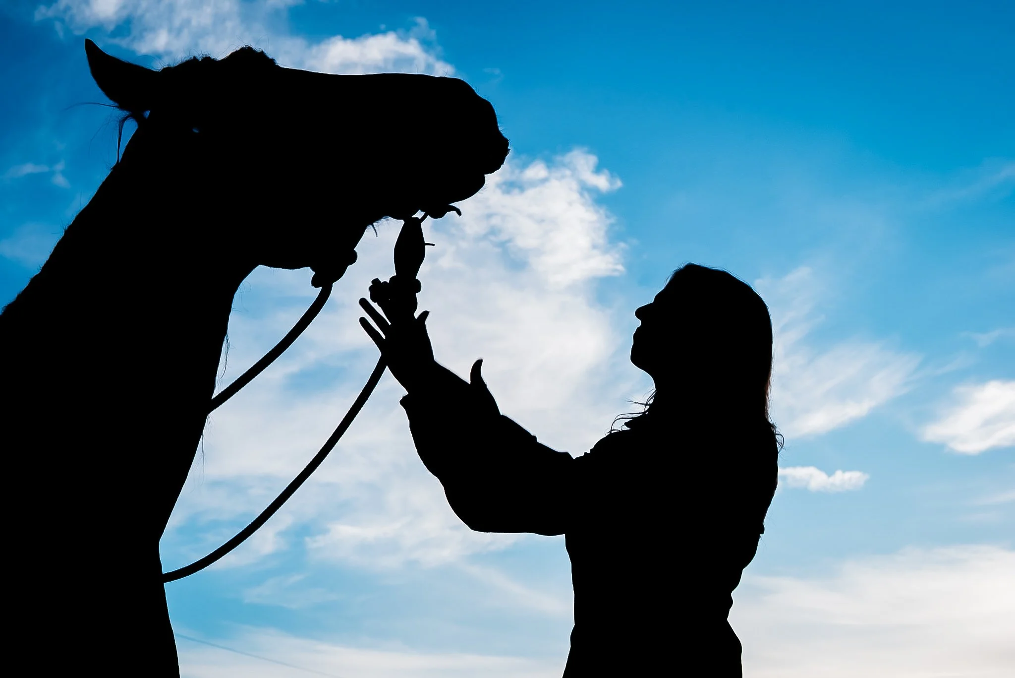 Portrait of woman with her horse in Park City, Utah during the summer. 