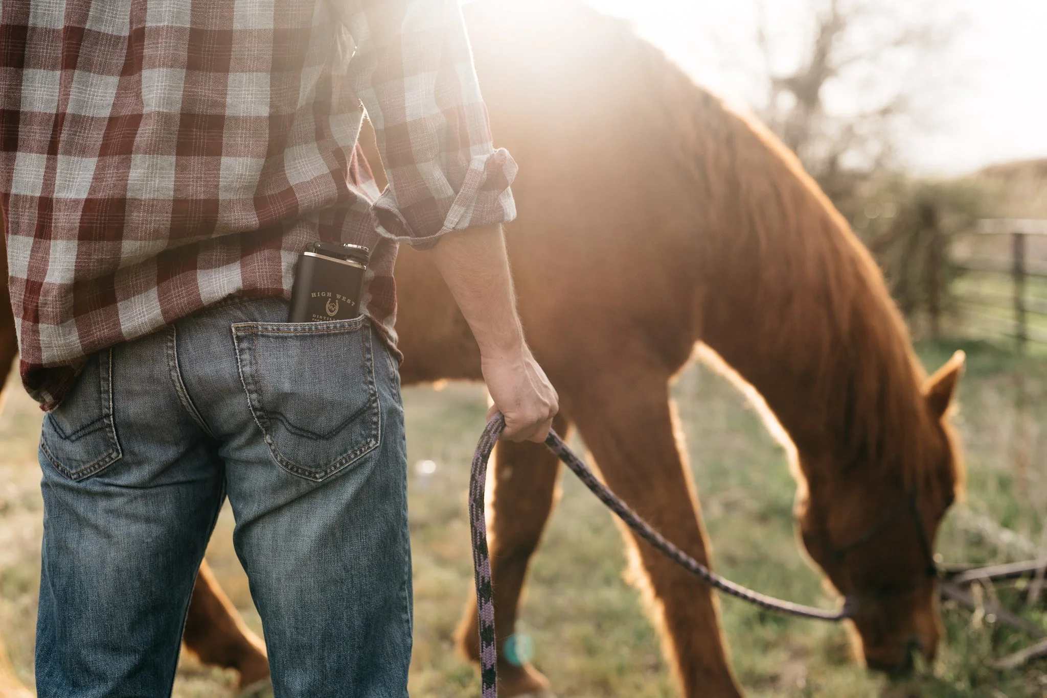 Portrait of man with horse in Park City, Utah during the summer. 