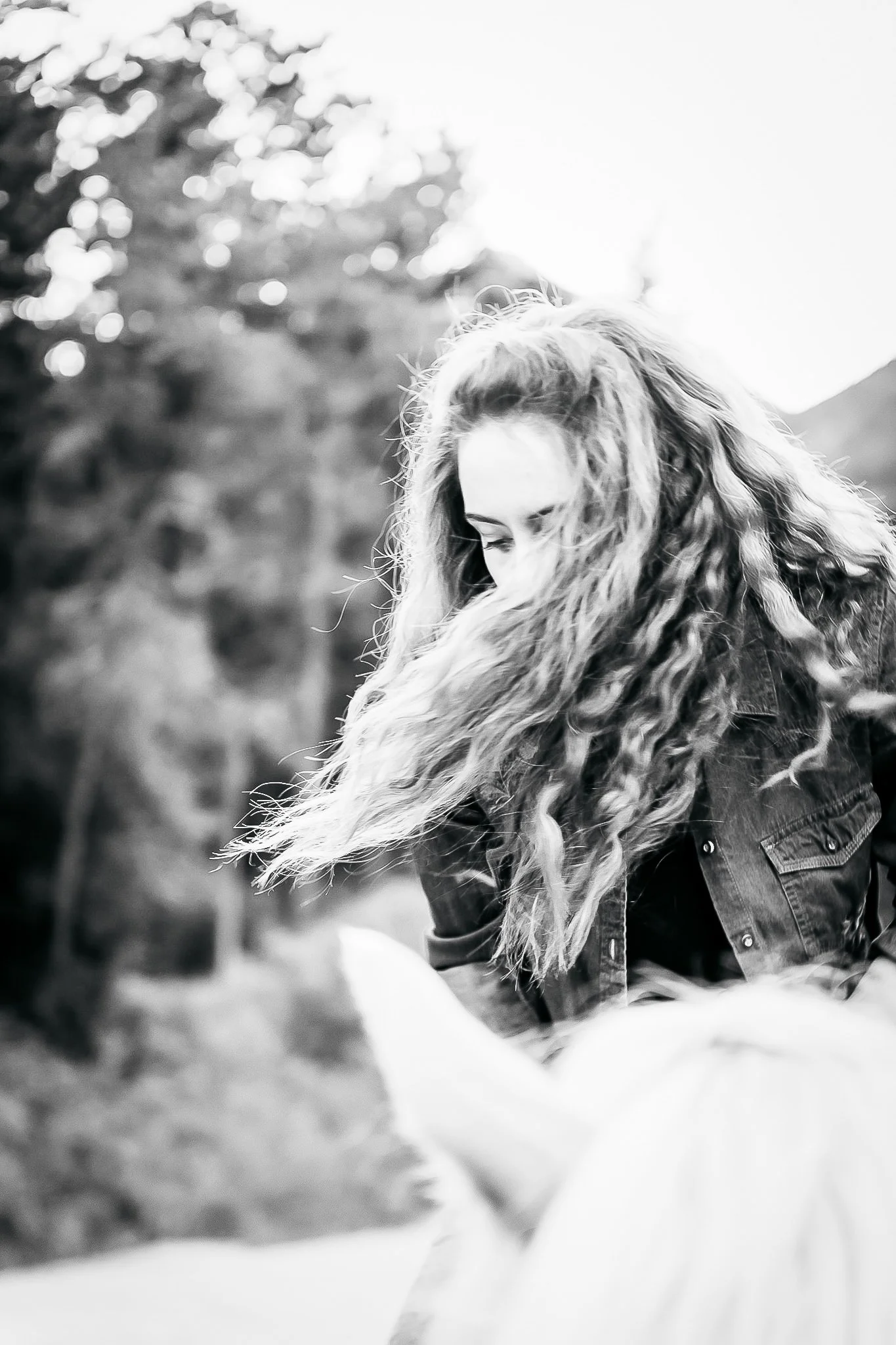 Portrait of woman trail riding her horse in the mountains during the summer. 