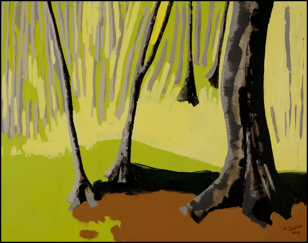 5. The underpinnings of an old forest.