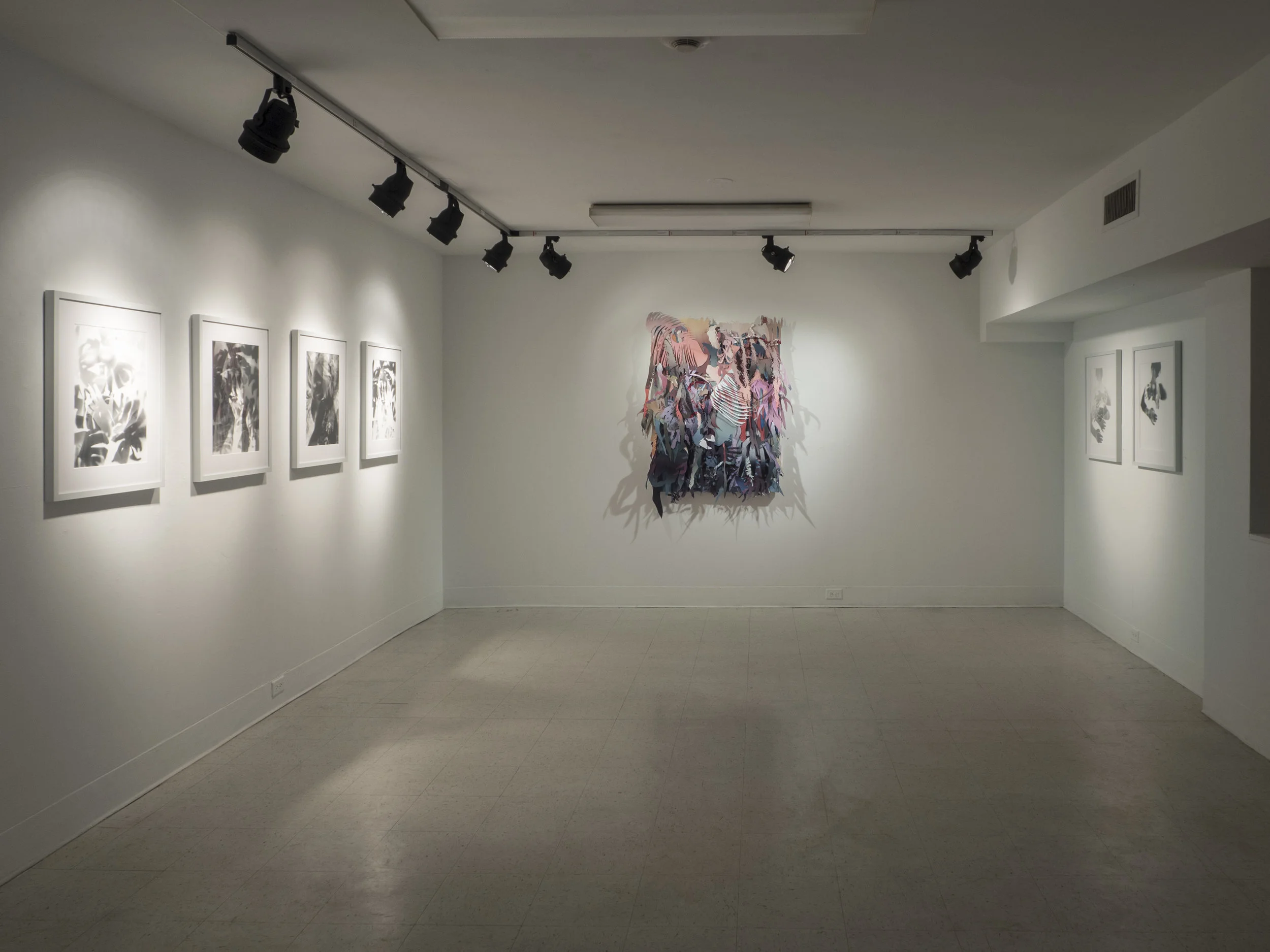 Core Stafford Gallery