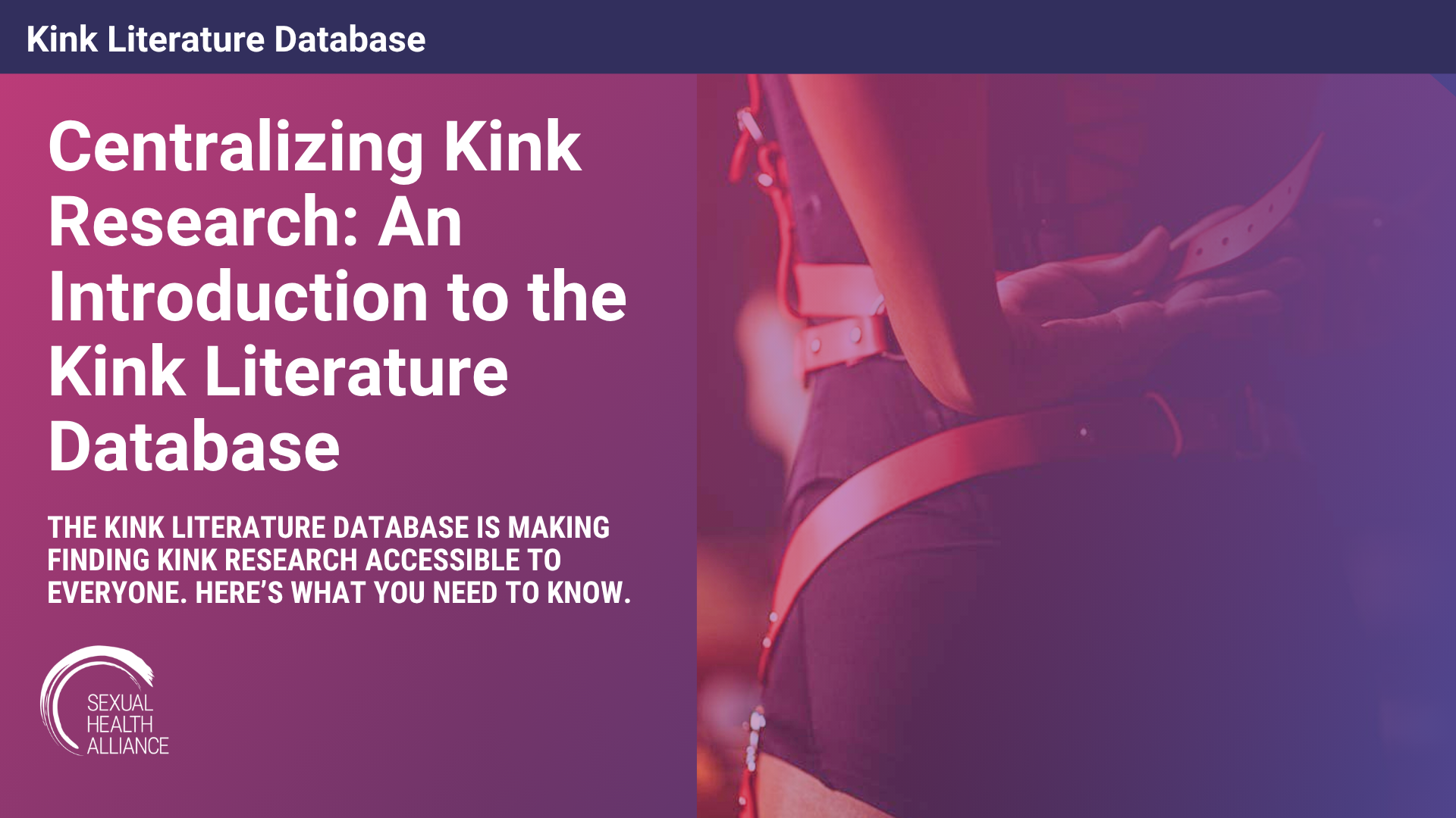 Kink Literature Database.png