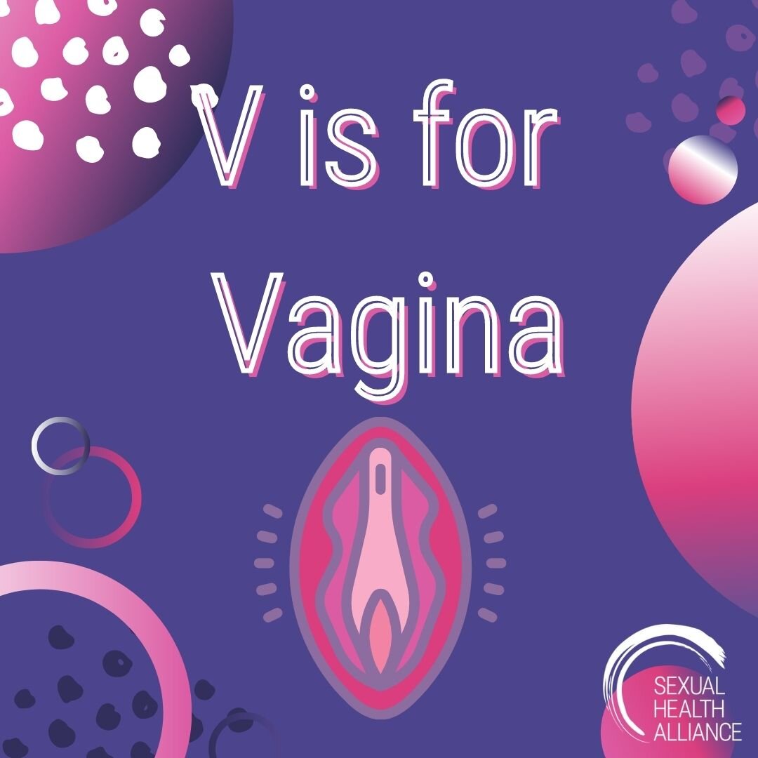 Vagina V