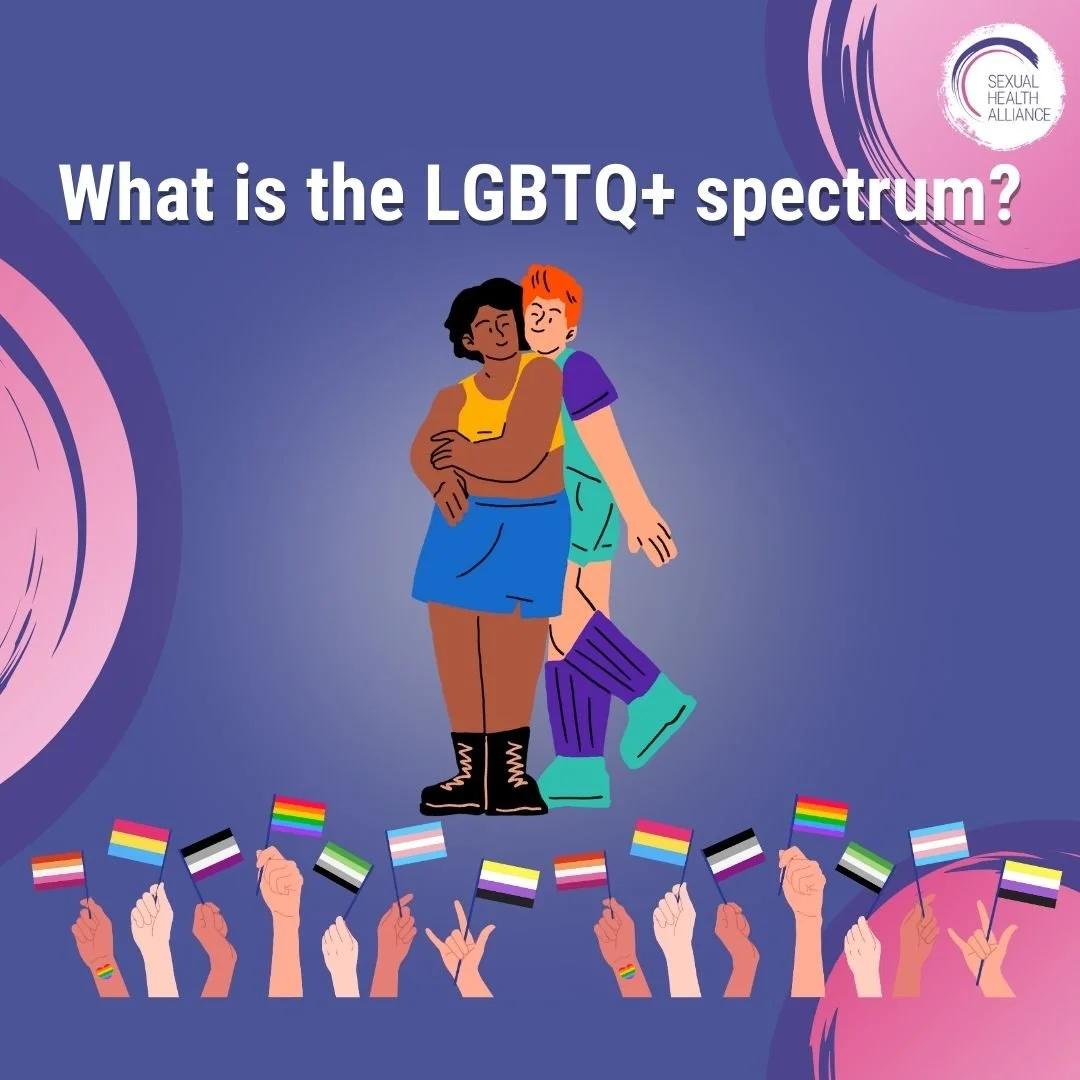 What is the LGBTQ+ spectrum?