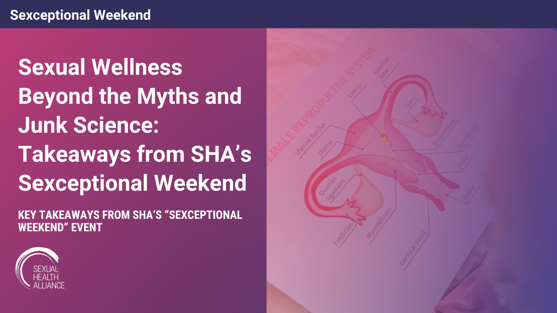 Sexceptional Weekend.png