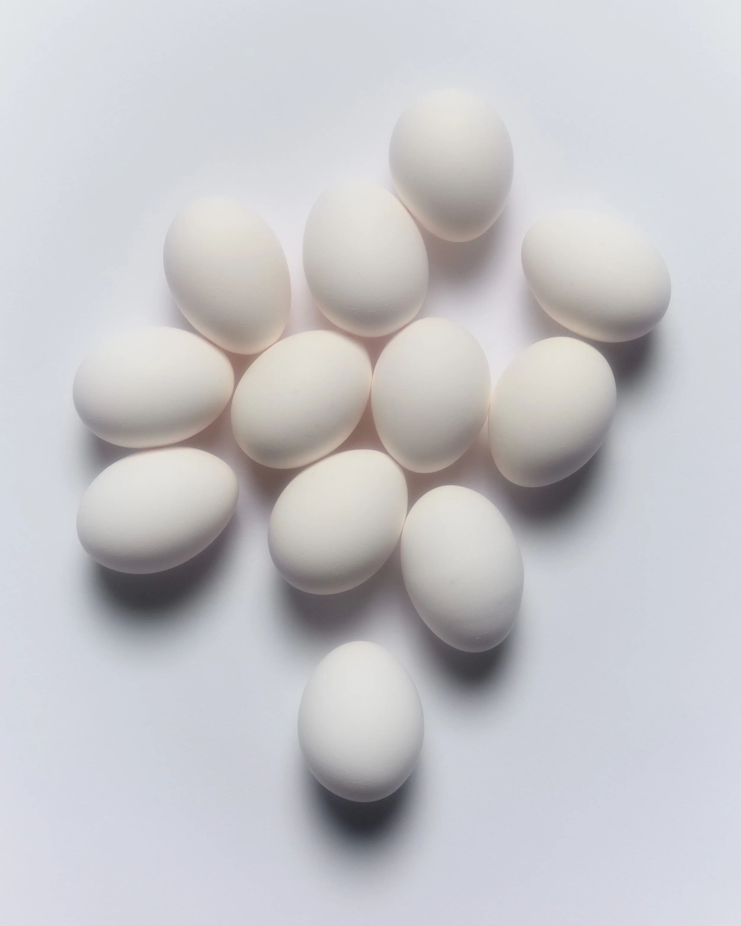 TEST_2025-0222.jpg