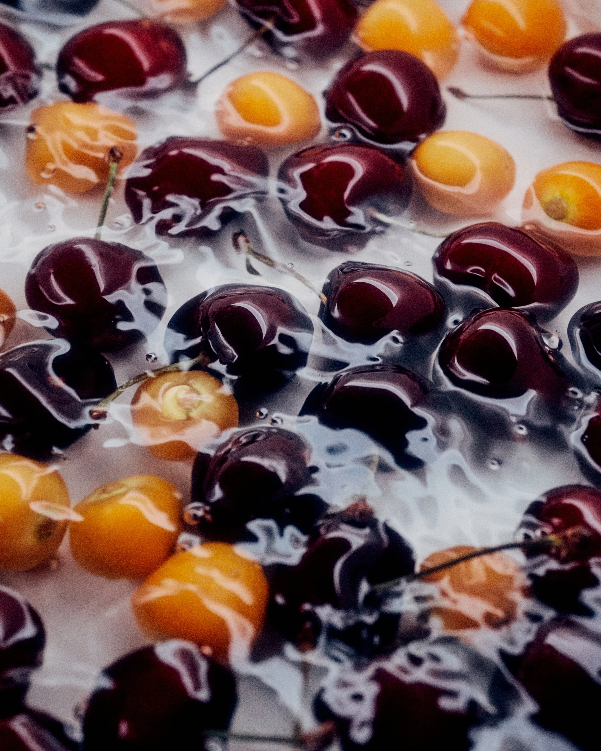 TEST_240606_2400 1.jpg