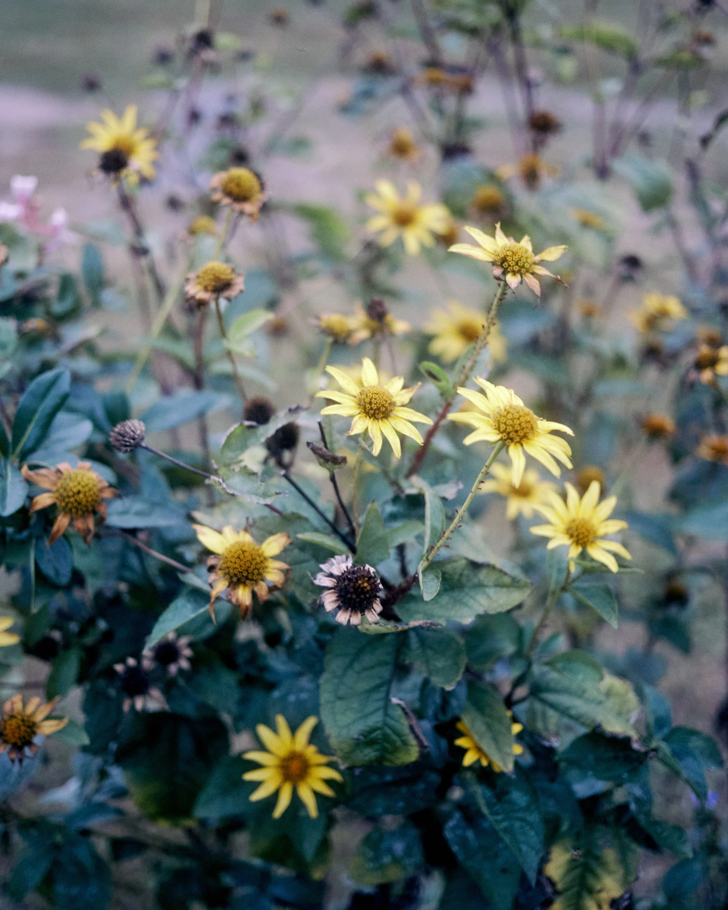 240928_IMG_4892.jpg
