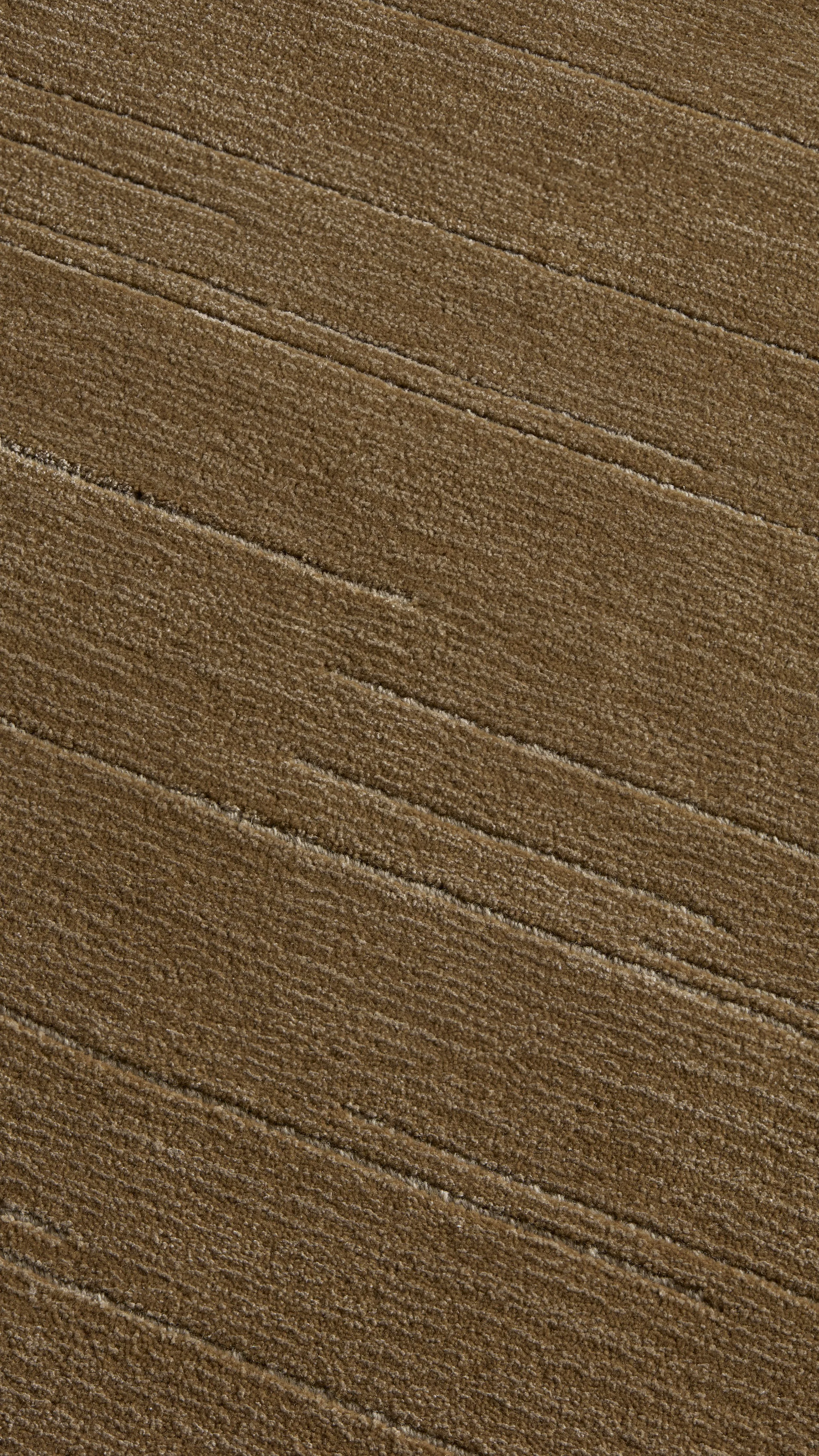 06_raked_TP_260406-5423_H.jpg