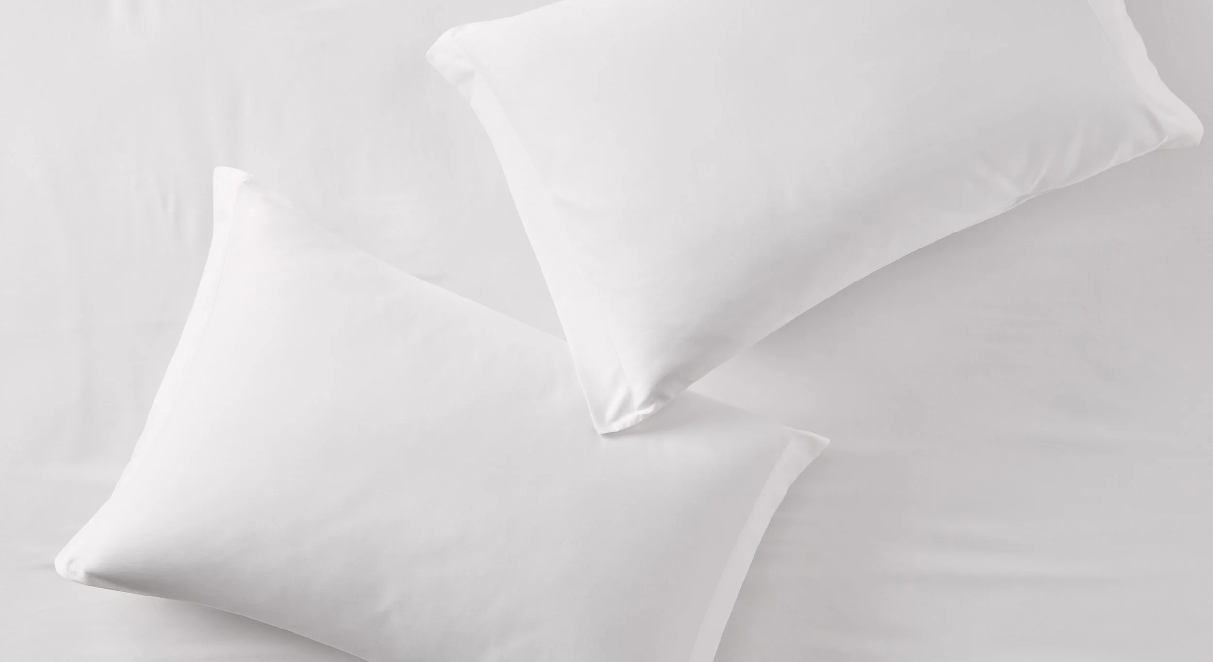 PFP_LinkImage_Pillows_Overhead-0057.jpg