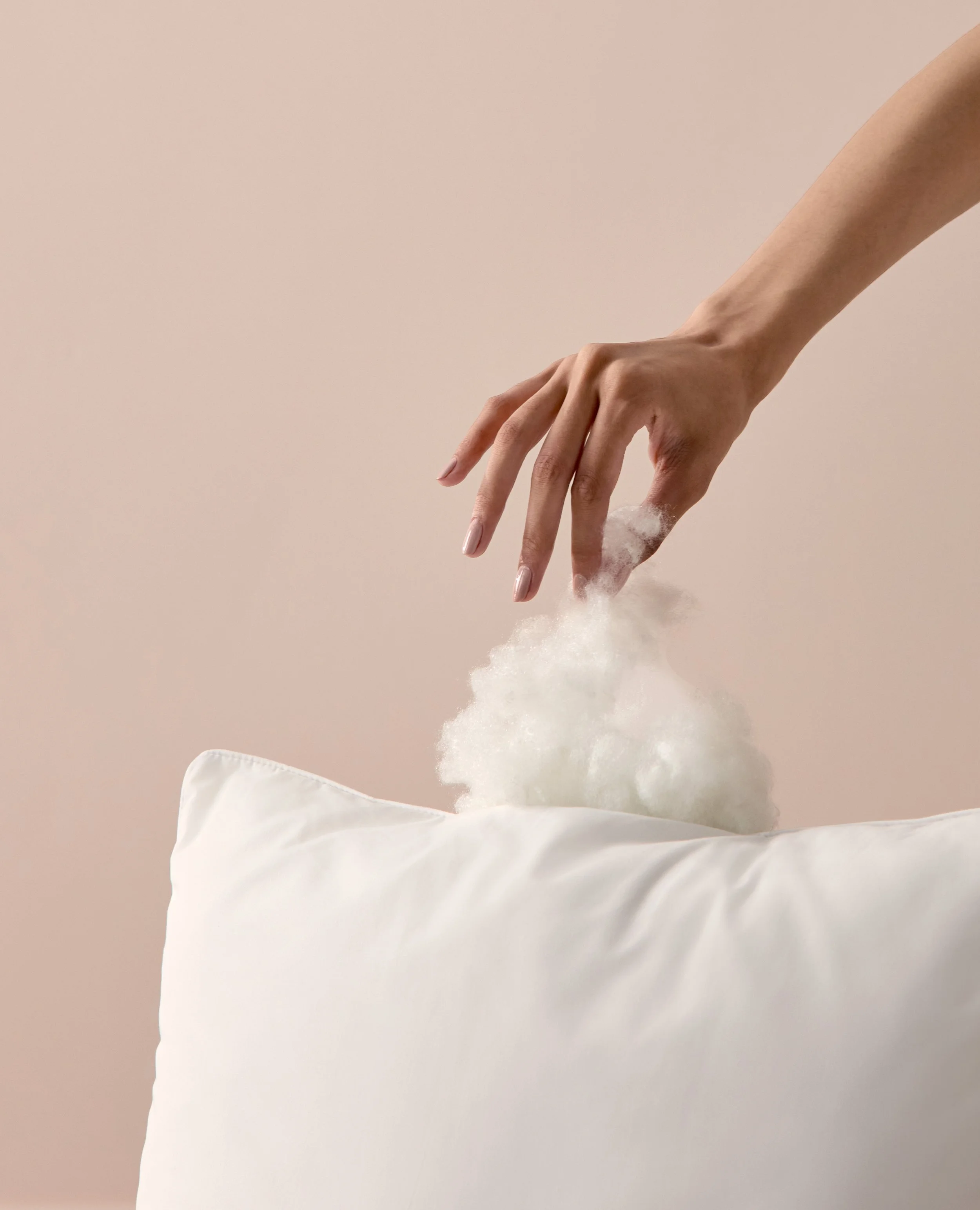 PFP_Pillows_Fill_Image-0025.jpg