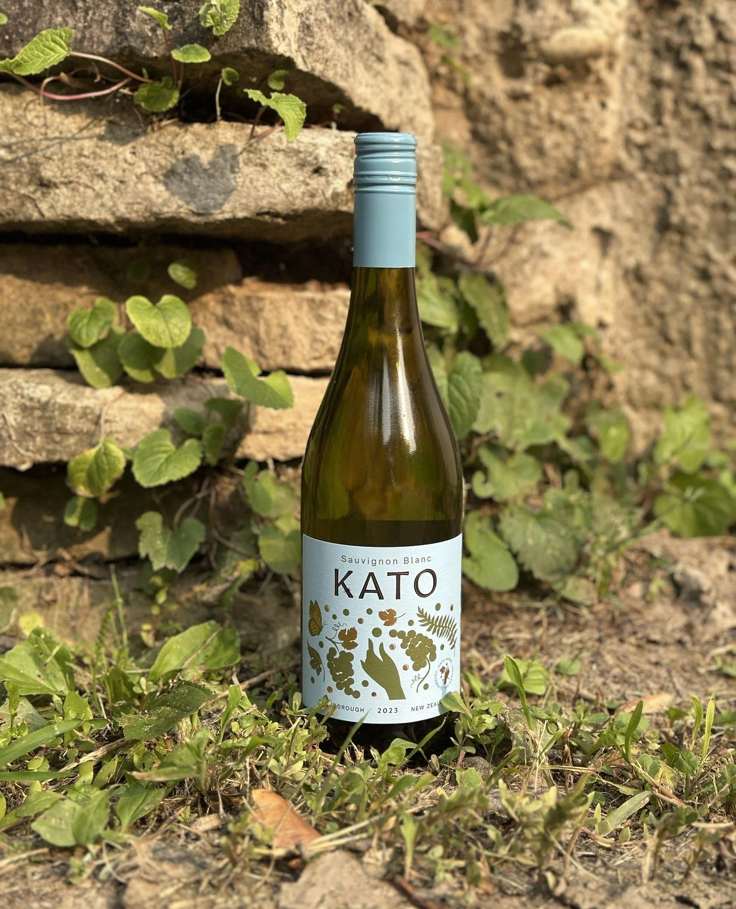 Wine through the seasons! 🌷😎🍂❄️ All year round we select bottles for our Under the Table Wine Club members. Whether you're wanting to broaden your own wine knowledge in 2026 or share a gift that keeps on giving this holiday season, a membership is