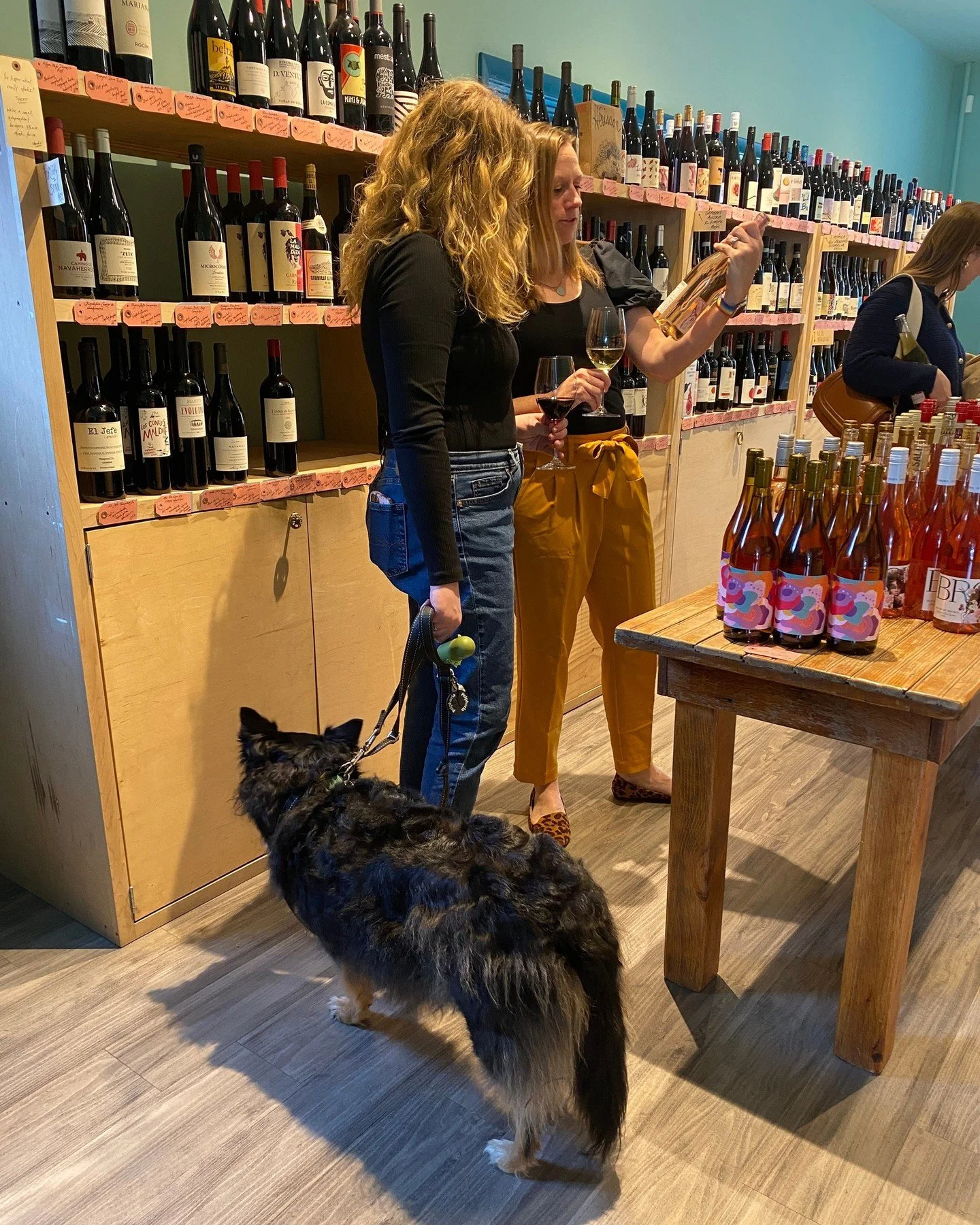 Just a quick reminder that pups are always welcome at Table Wine 🐶🍷 Bring your dog, grab a glass, and hang awhile.