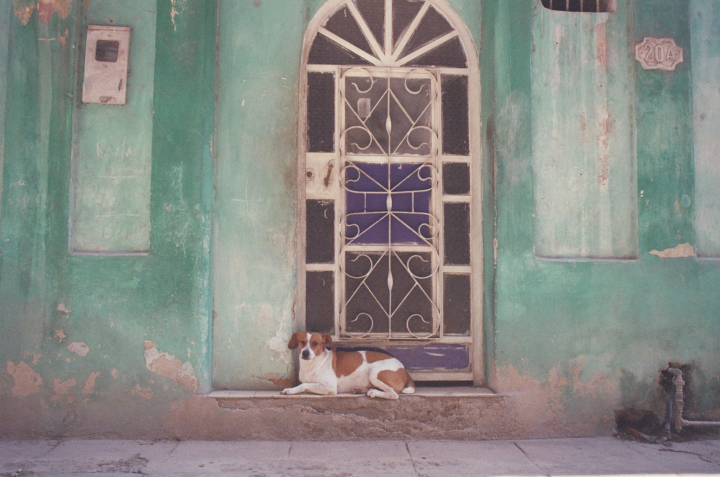  Havana, Cuba  2016 