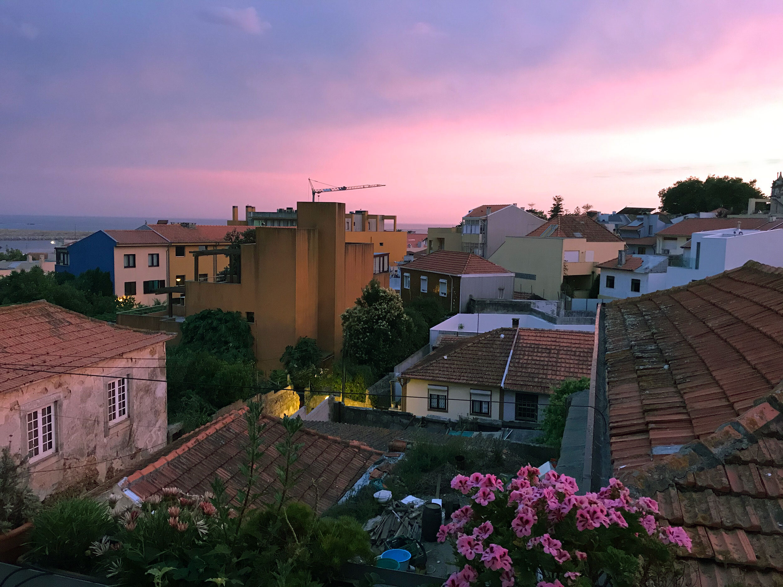 night view from deck