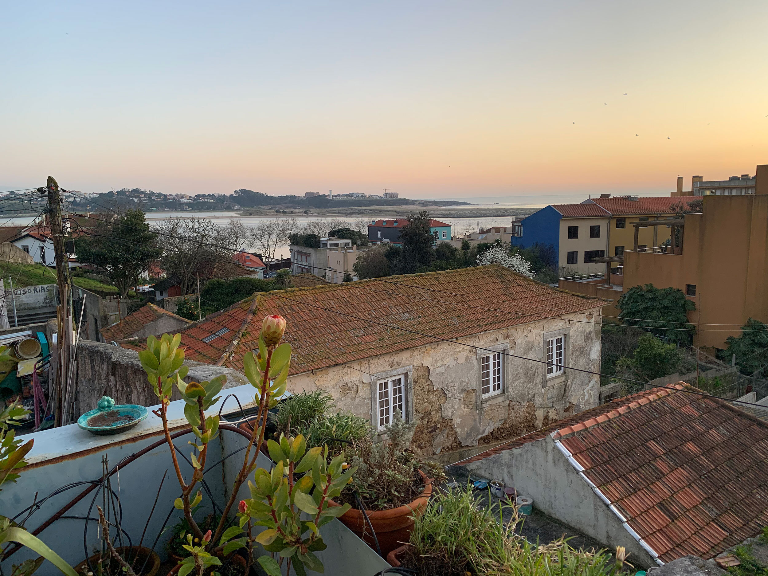 River Douro view from the deck