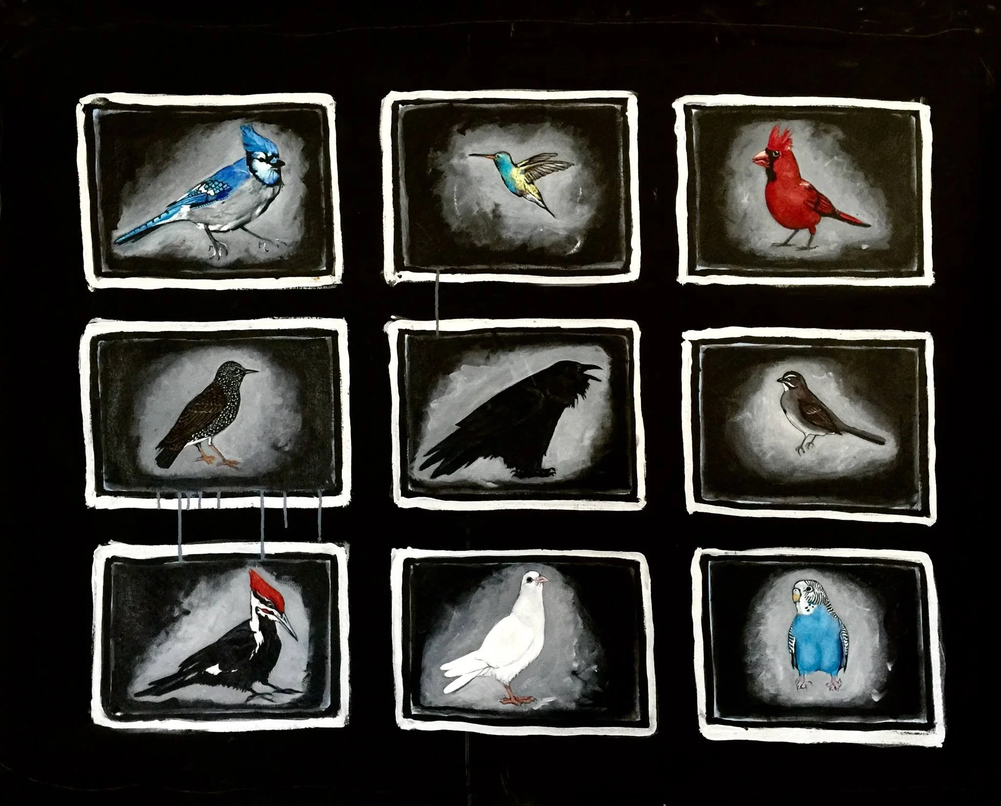 Birds