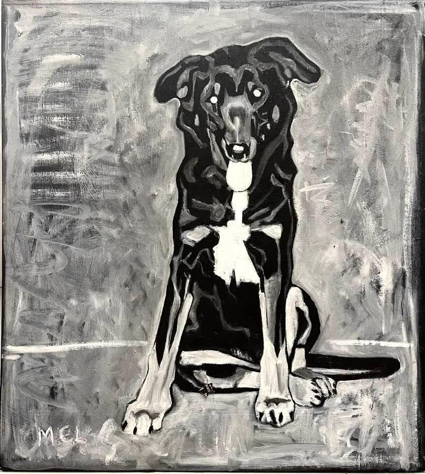 A Dog Named Magic