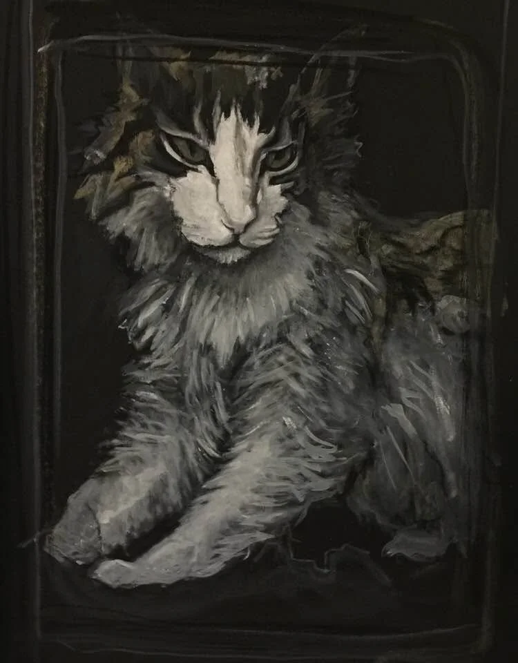 Palo