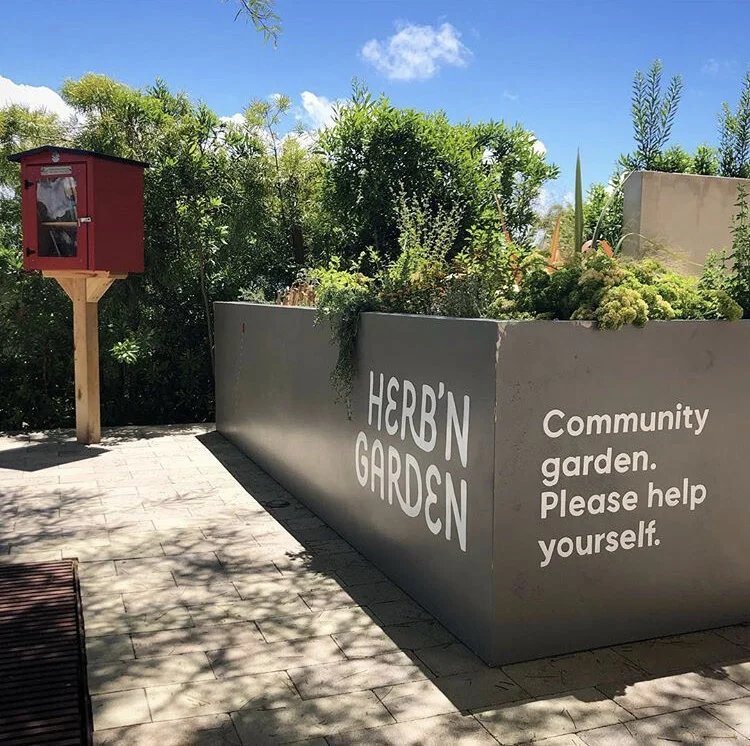 Have You Seen Our Community Herb Garden?