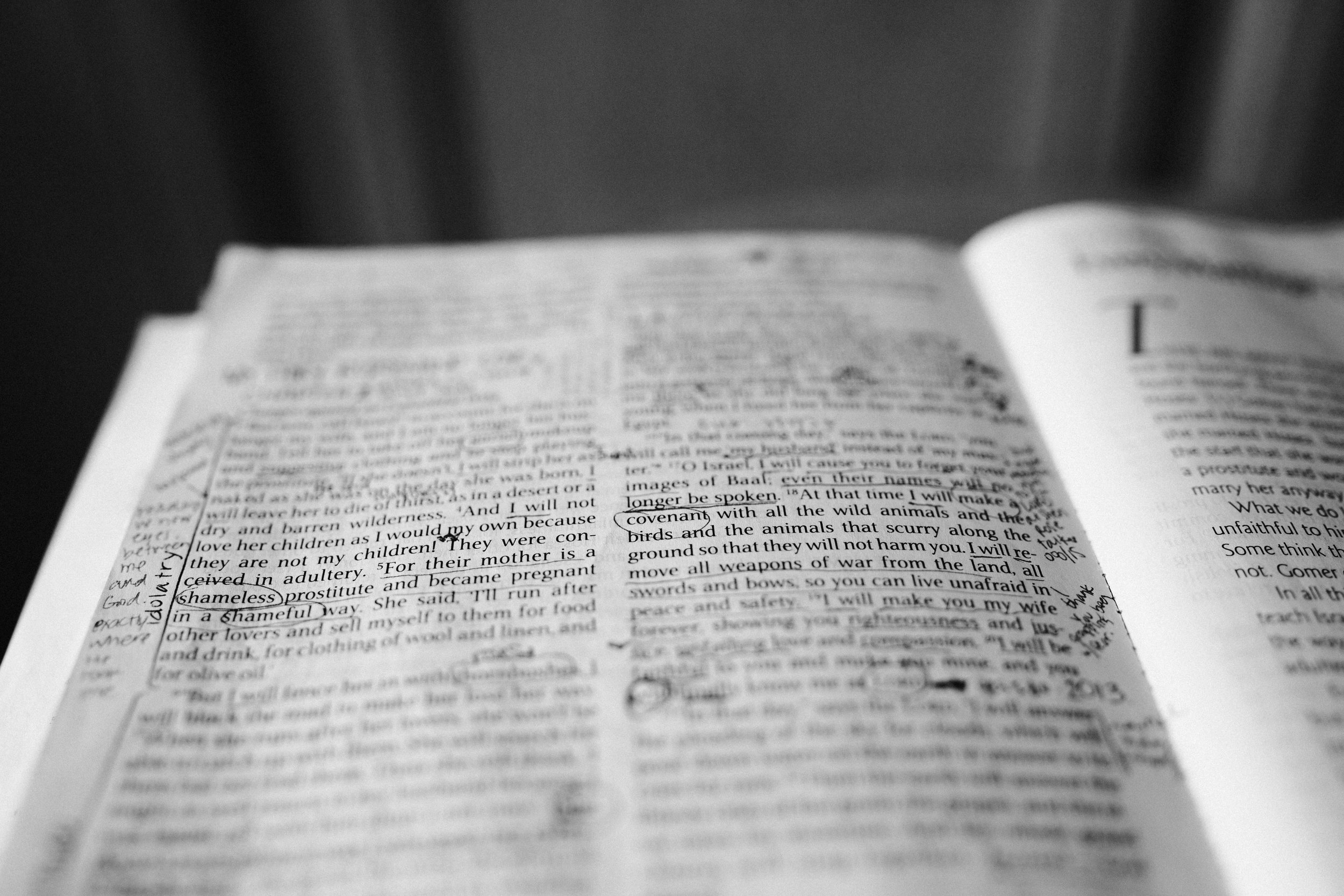 WEEK 01 | WORDS FOR THE YEAR 2018 