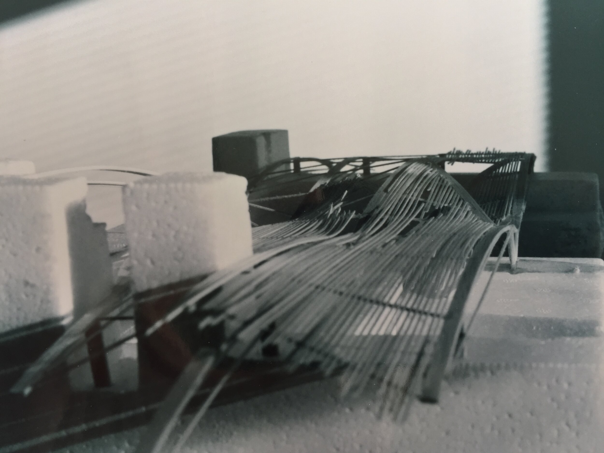 05 land + domus.JPG