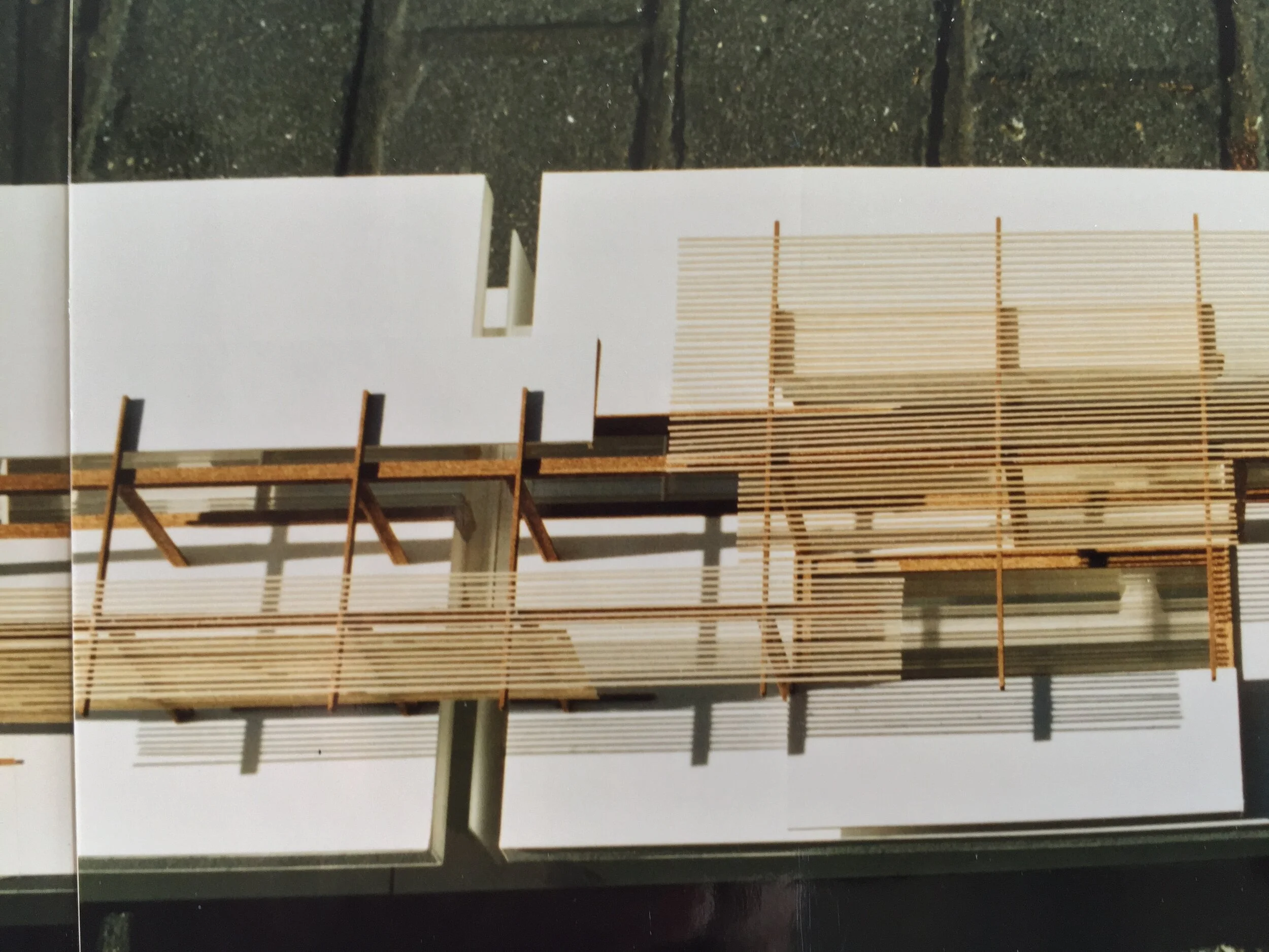 04   pind   hili.JPG