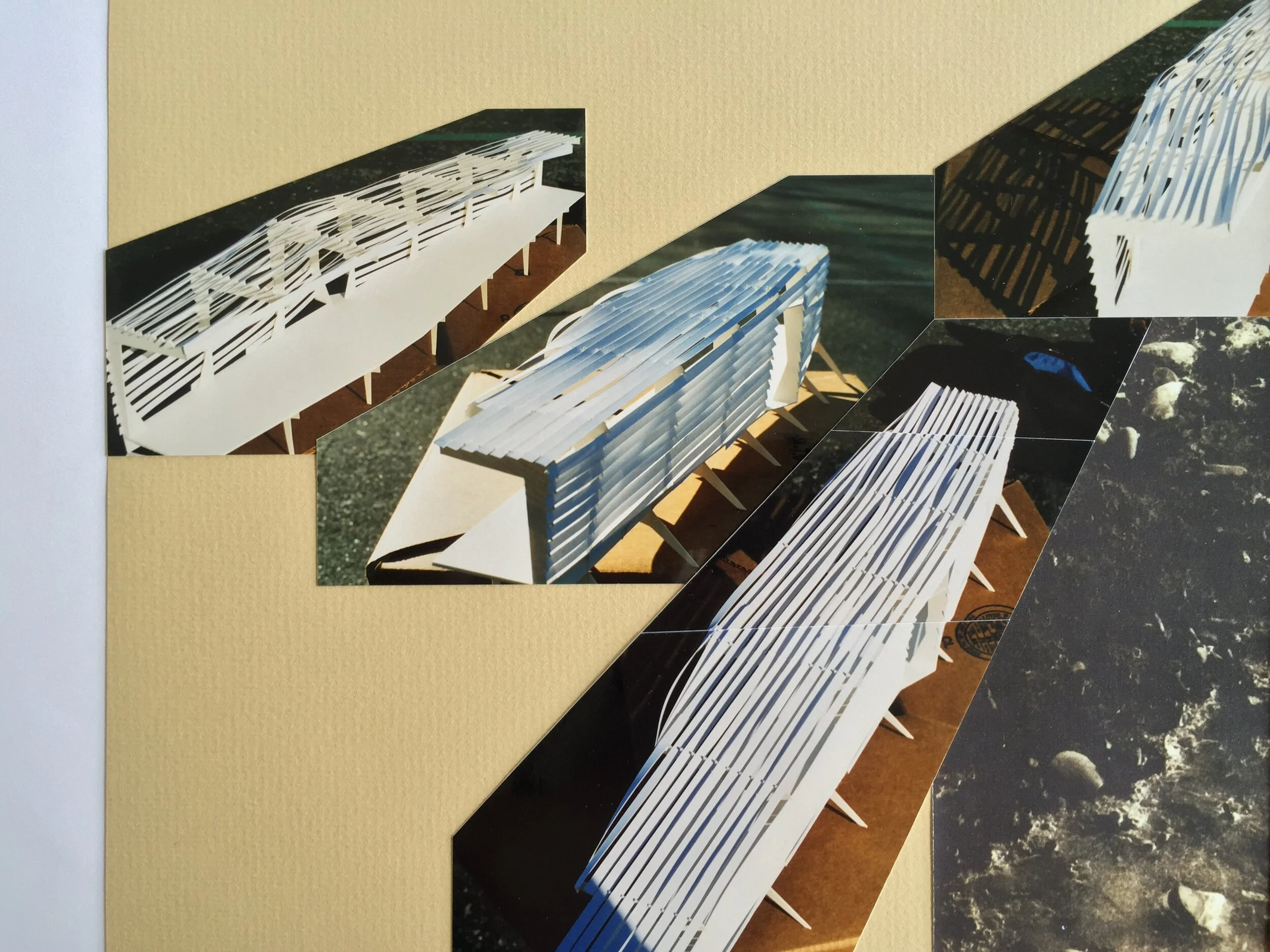 21   pind   shed.JPG