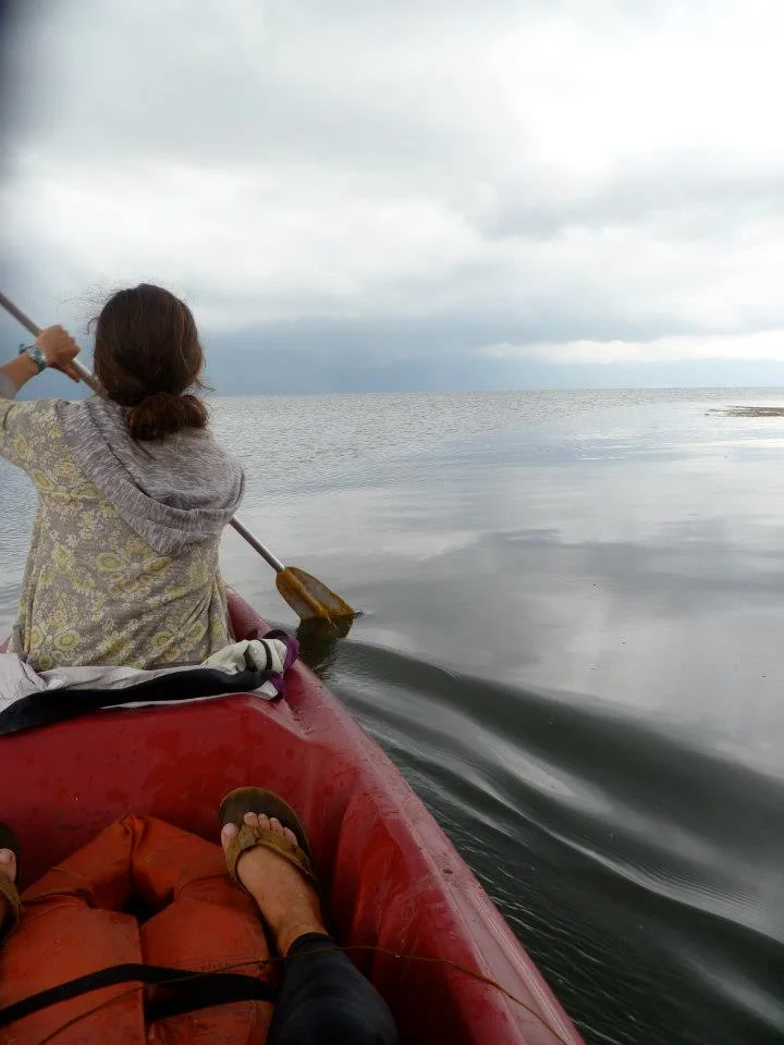 Meningitis, Take Two